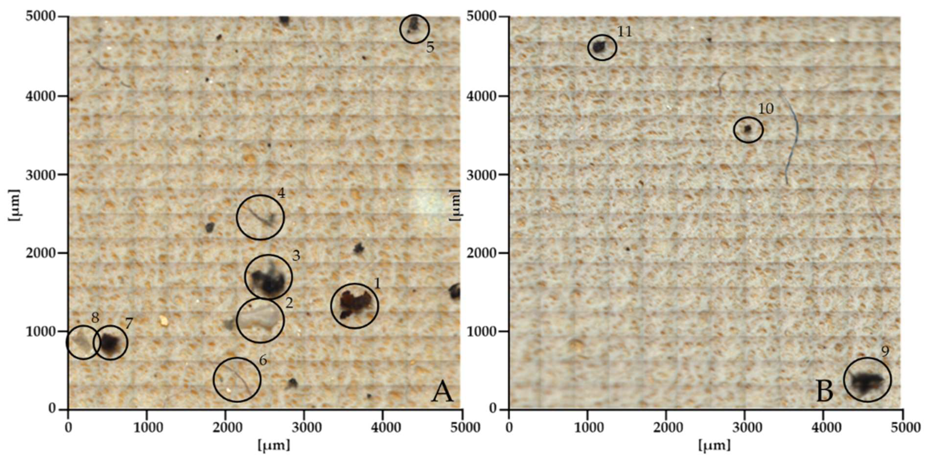 Preprints 117158 g004