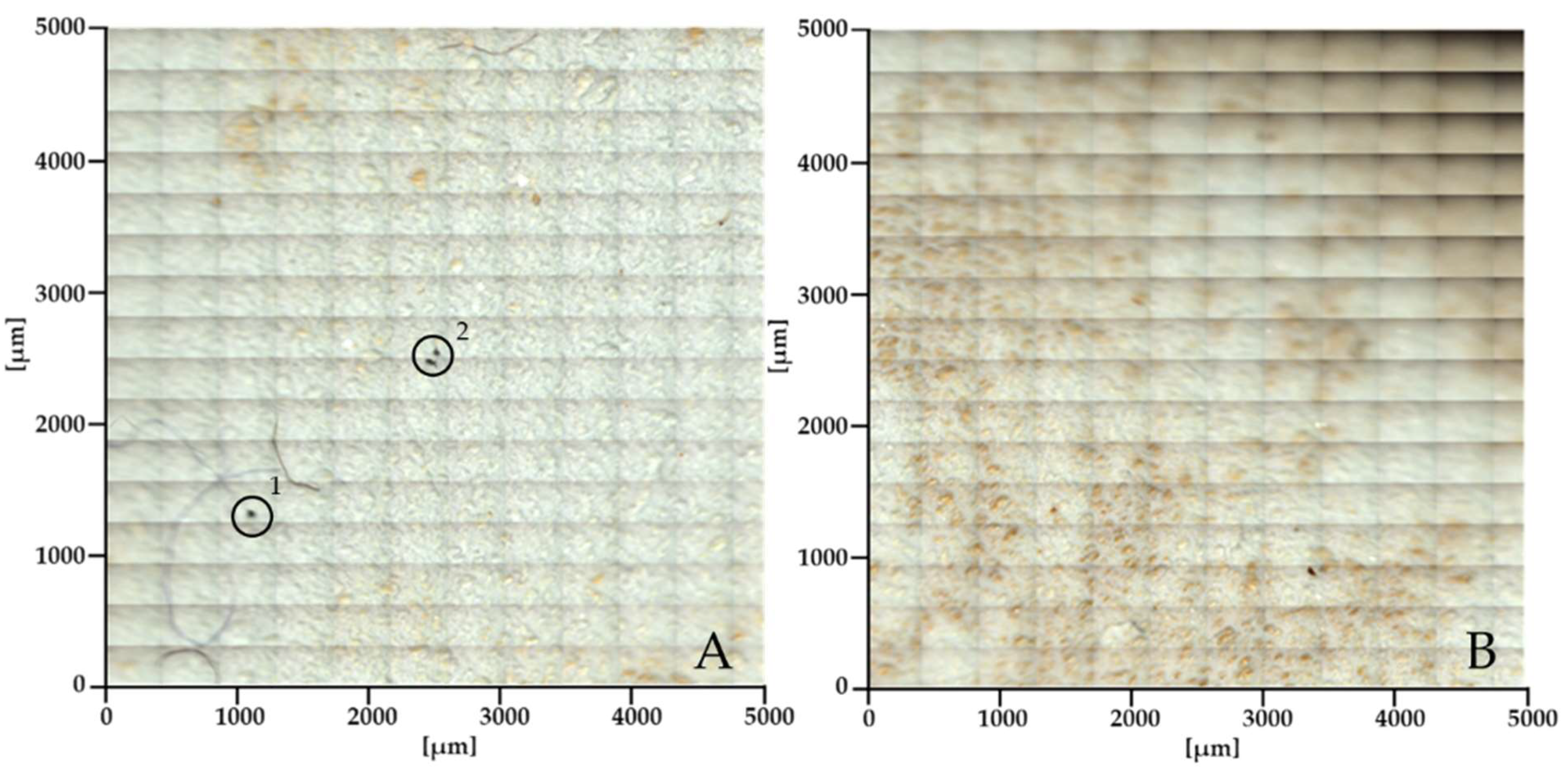 Preprints 117158 g005