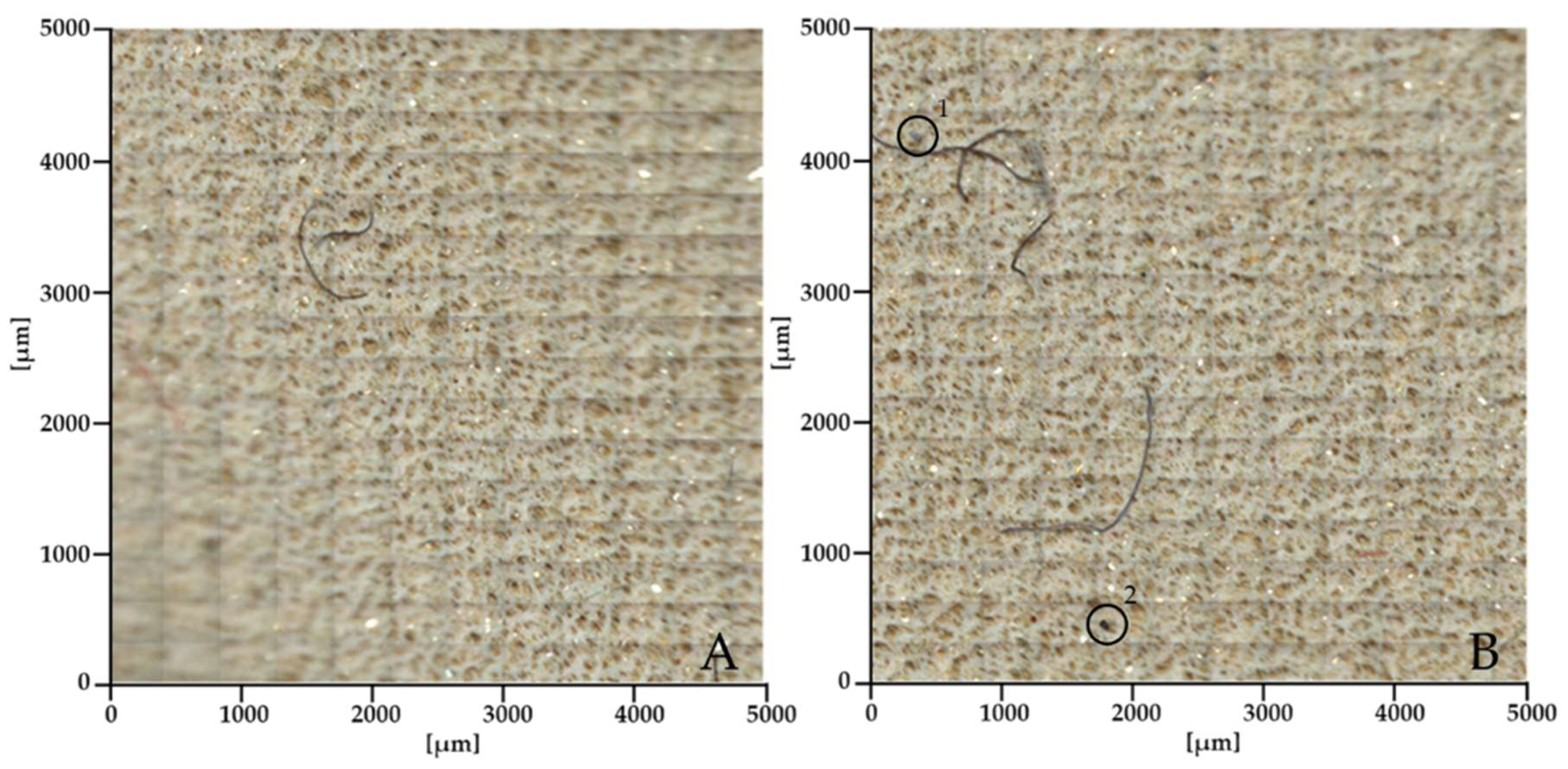 Preprints 117158 g006