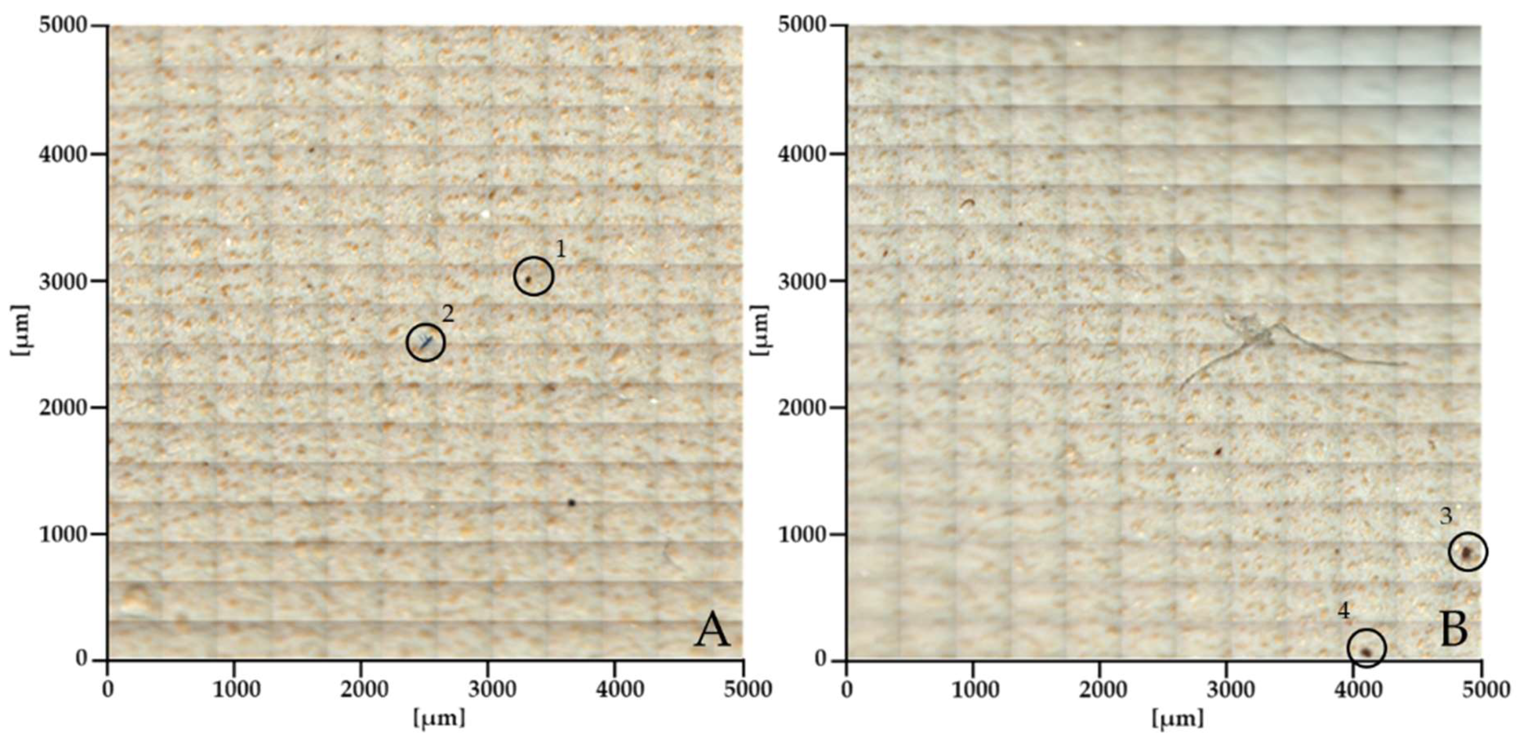 Preprints 117158 g007