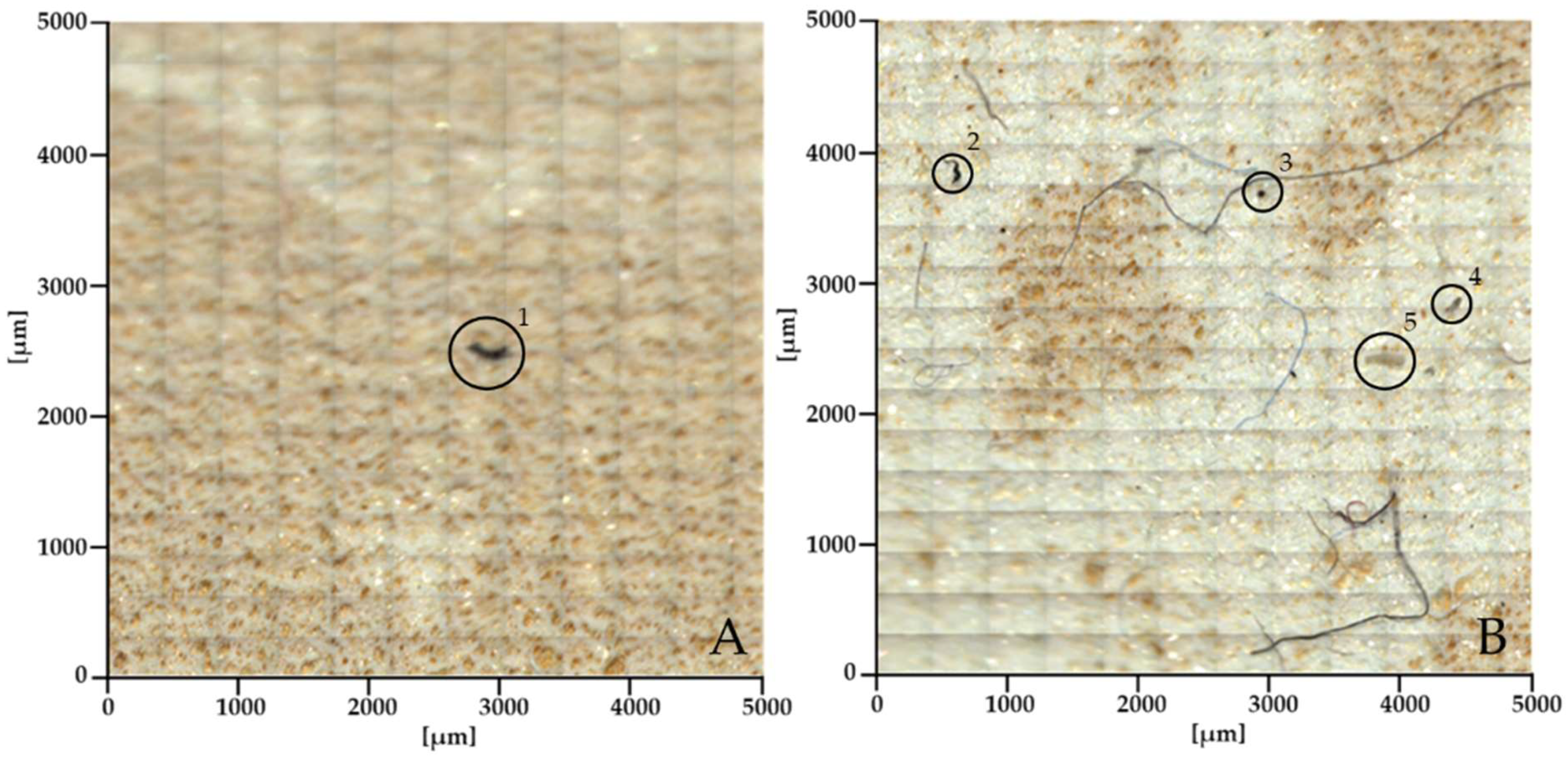 Preprints 117158 g009