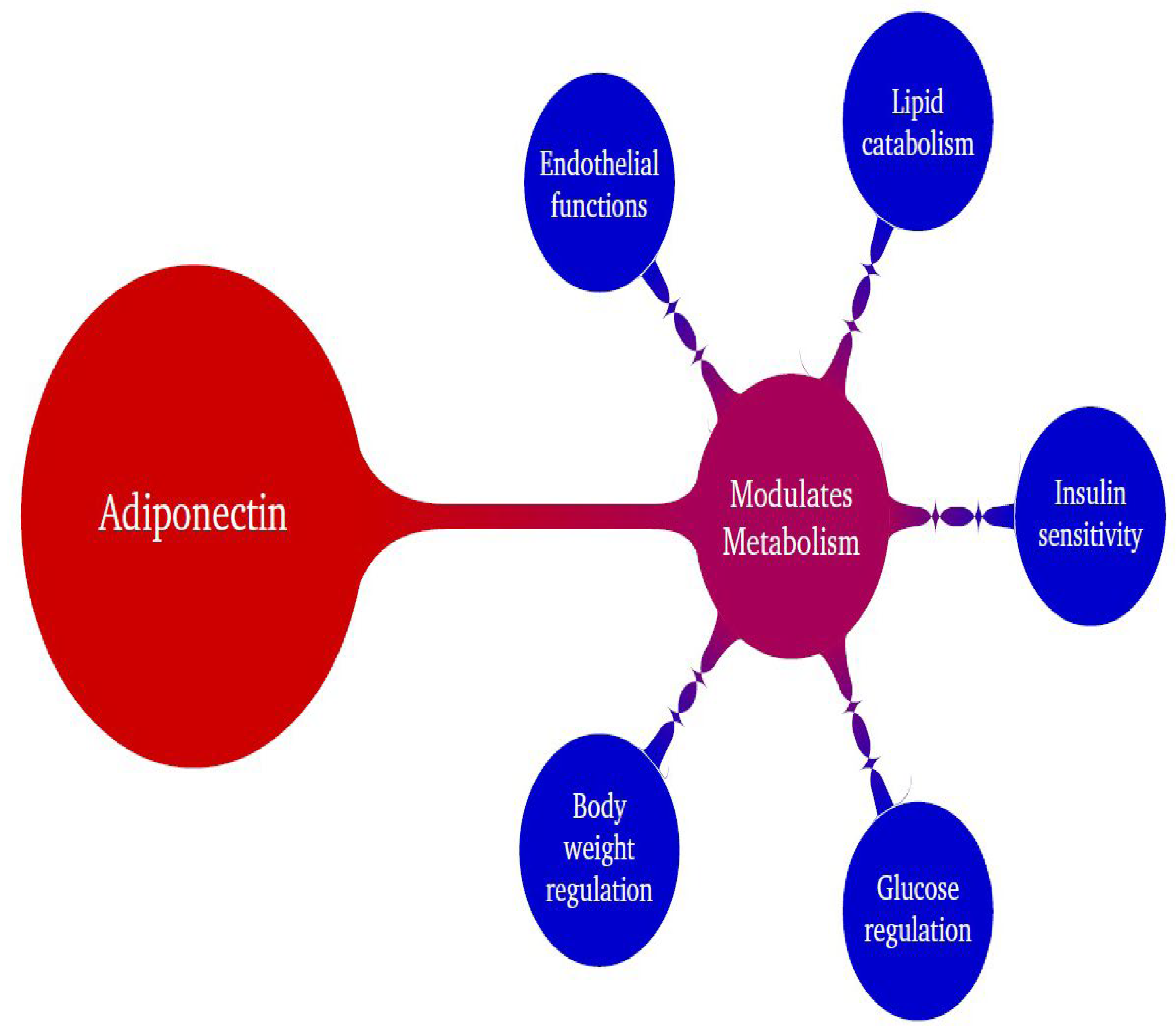 Preprints 111935 g001