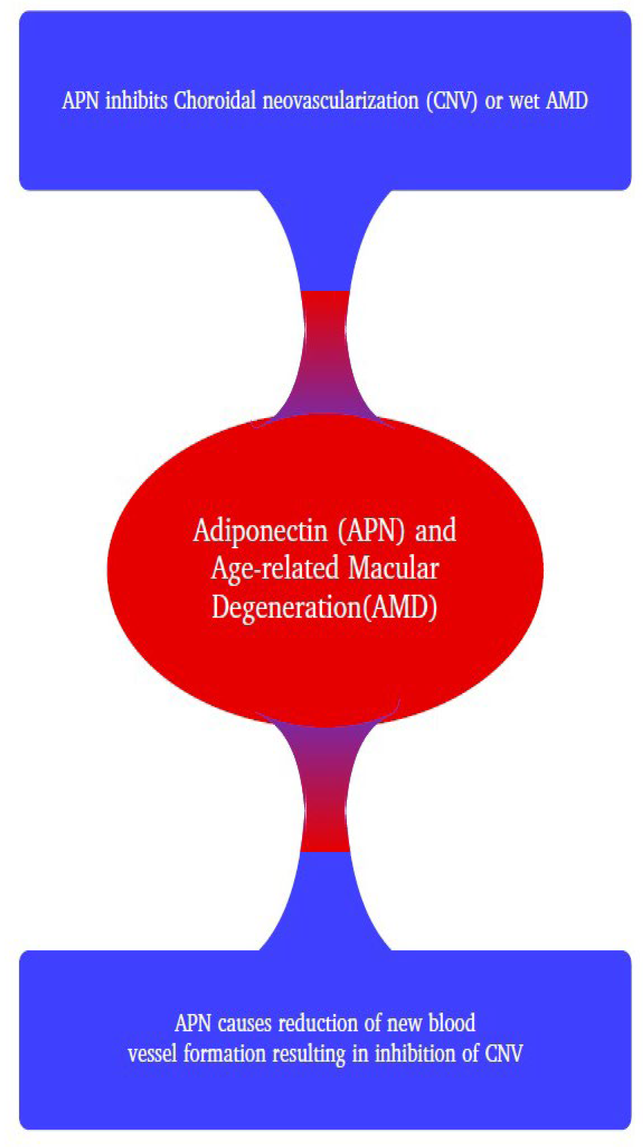 Preprints 111935 g002