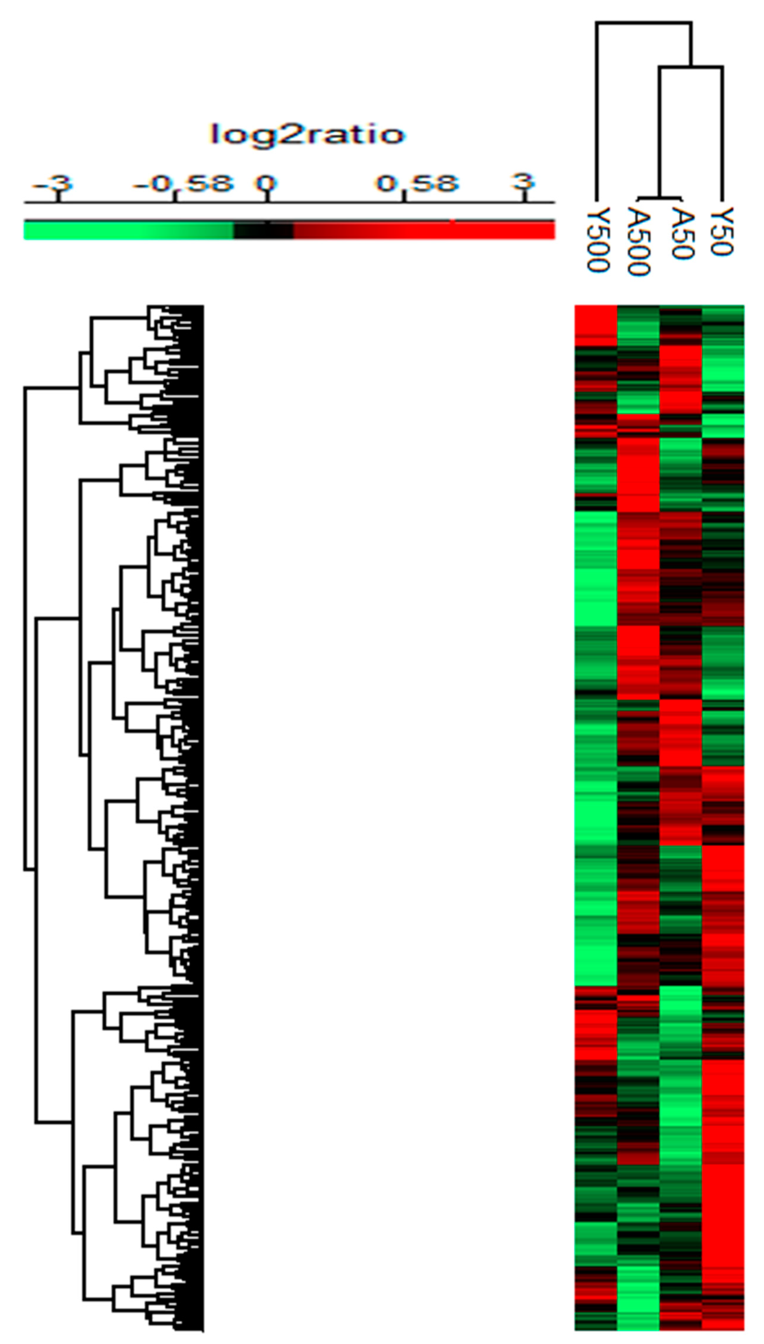 Preprints 101952 g001