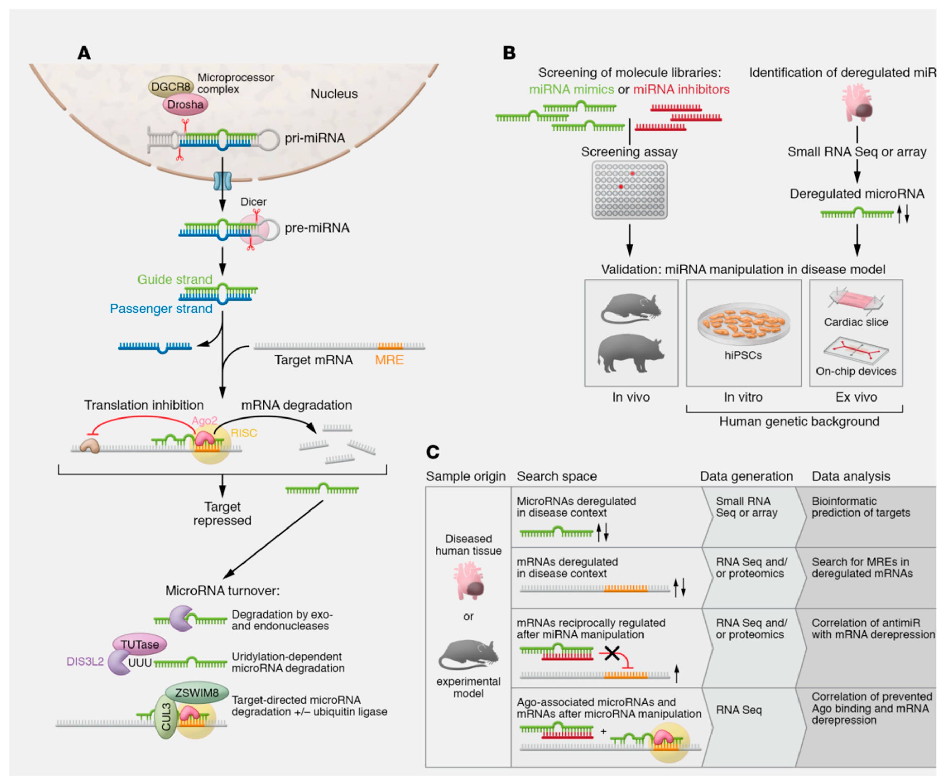 Preprints 83892 g002