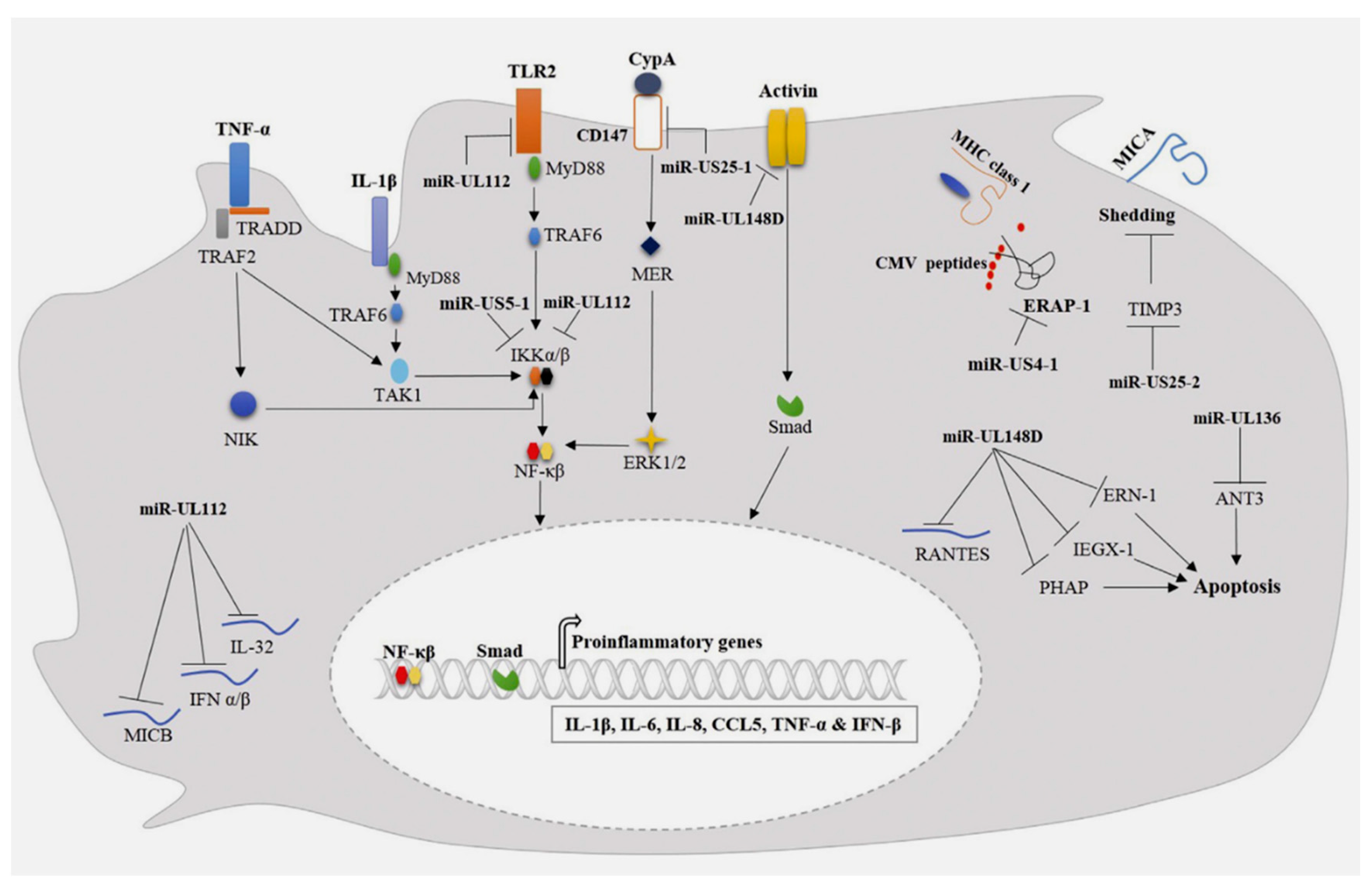 Preprints 83892 g003