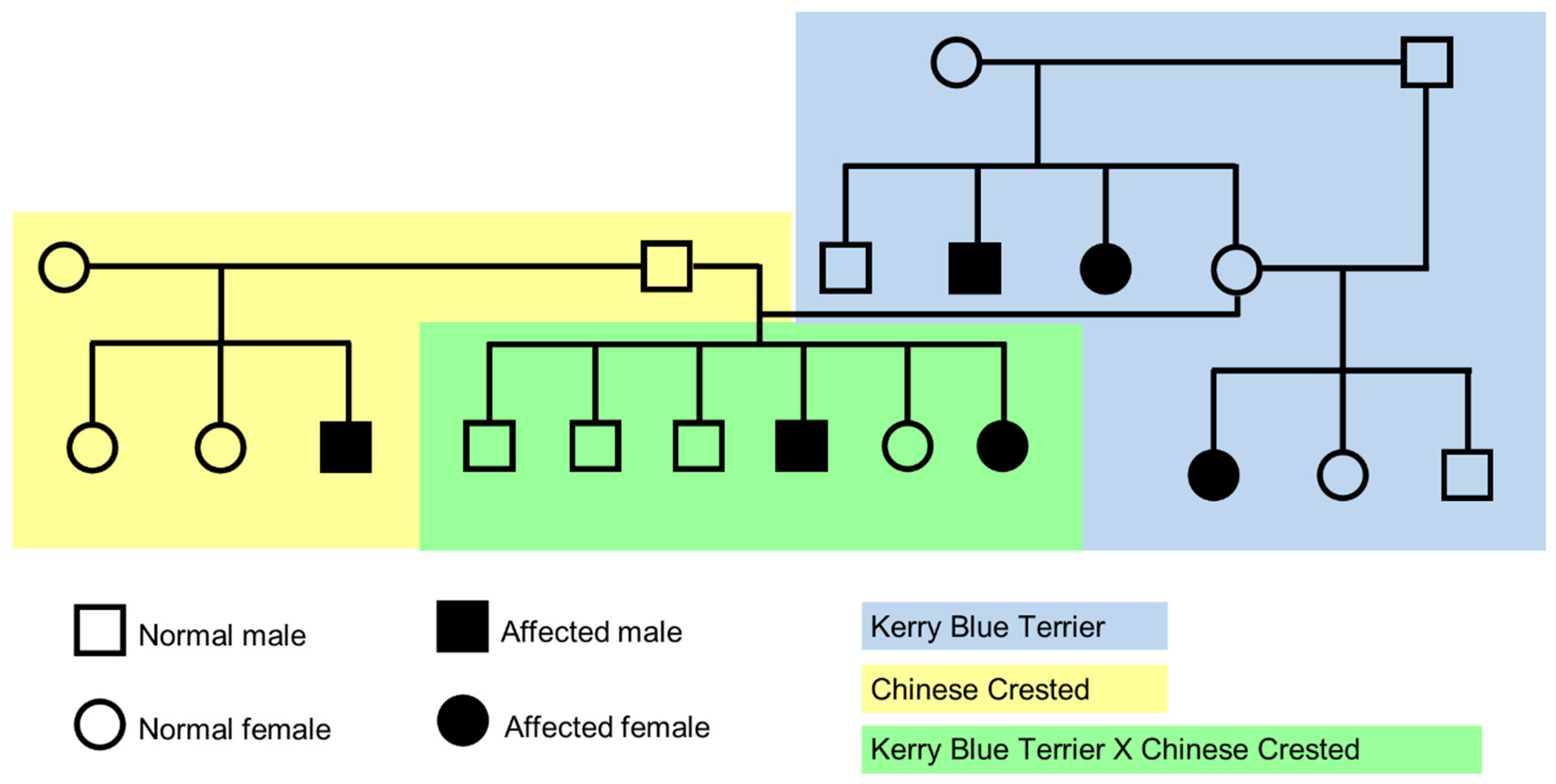 Preprints 119845 g001