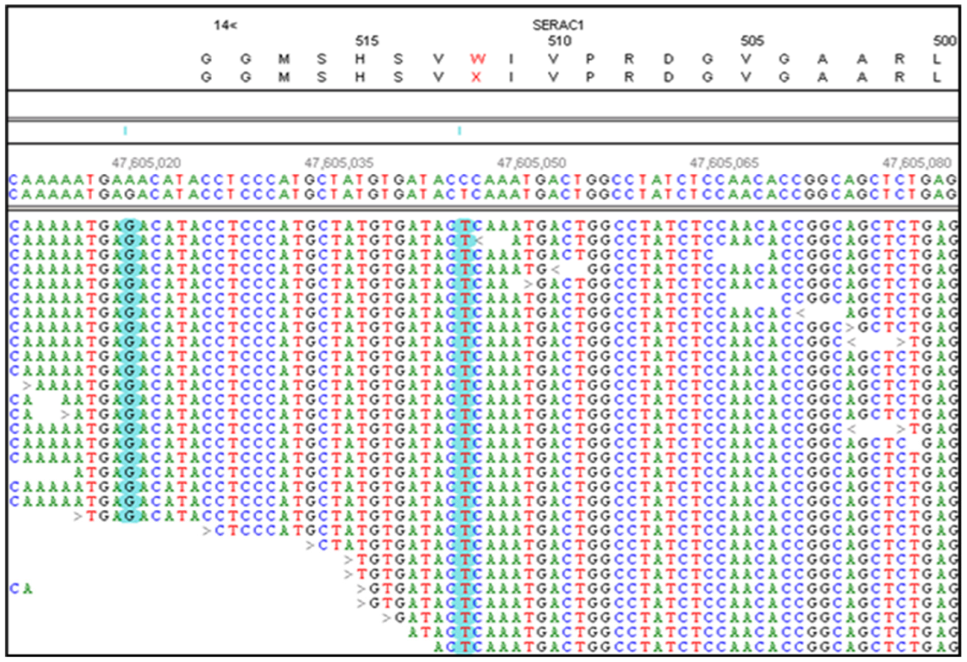 Preprints 119845 g002