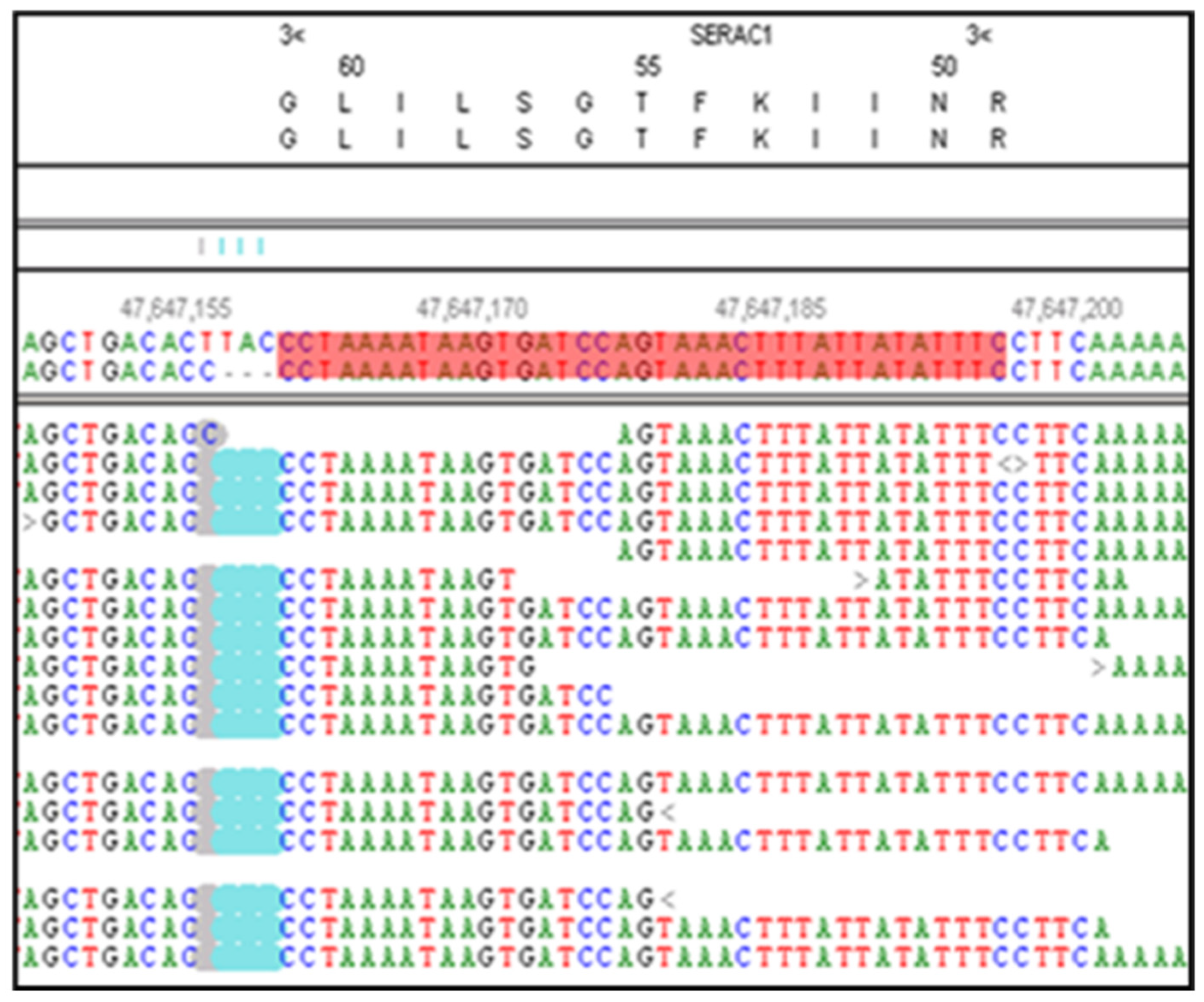 Preprints 119845 g003