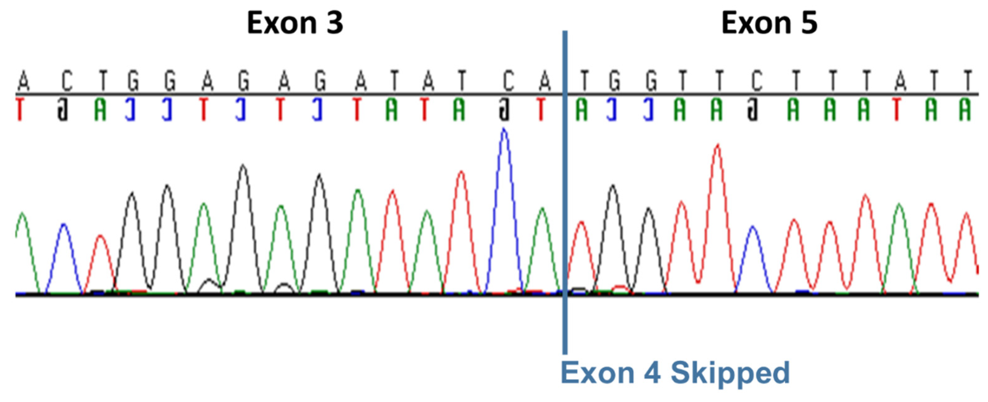 Preprints 119845 g005