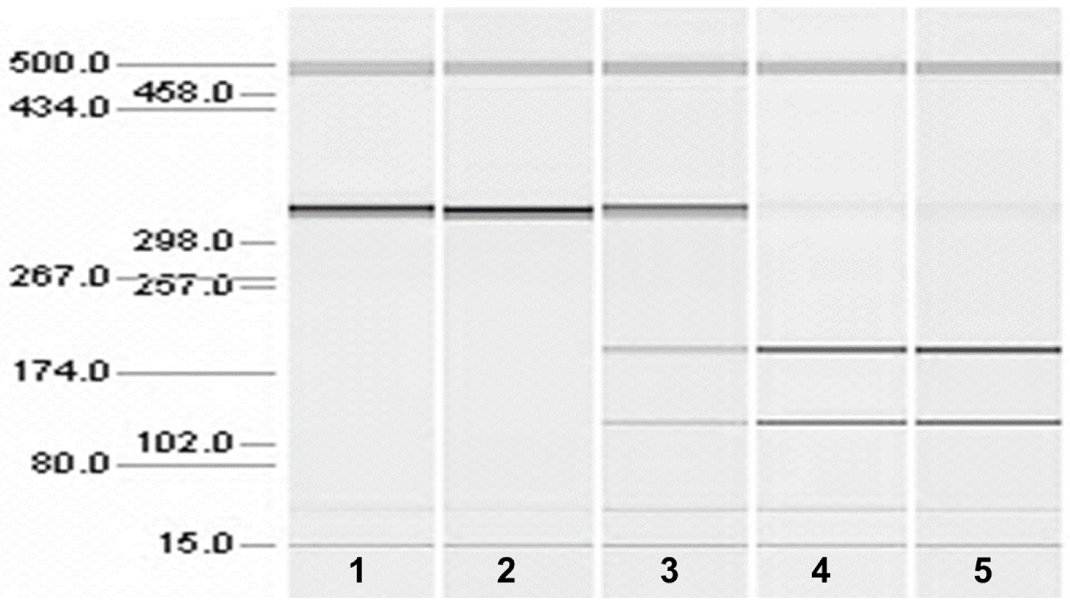 Preprints 119845 g006