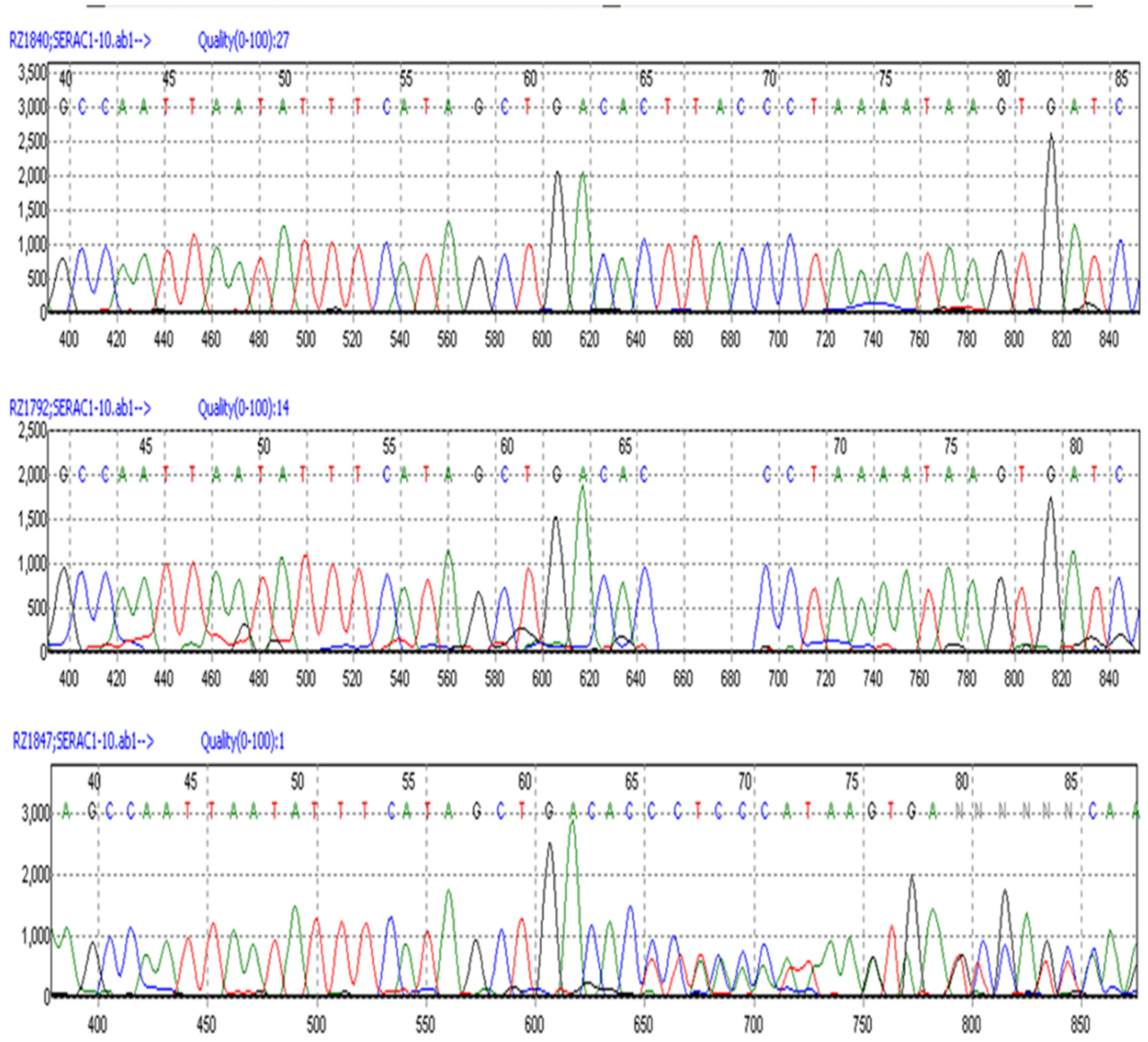 Preprints 119845 g007