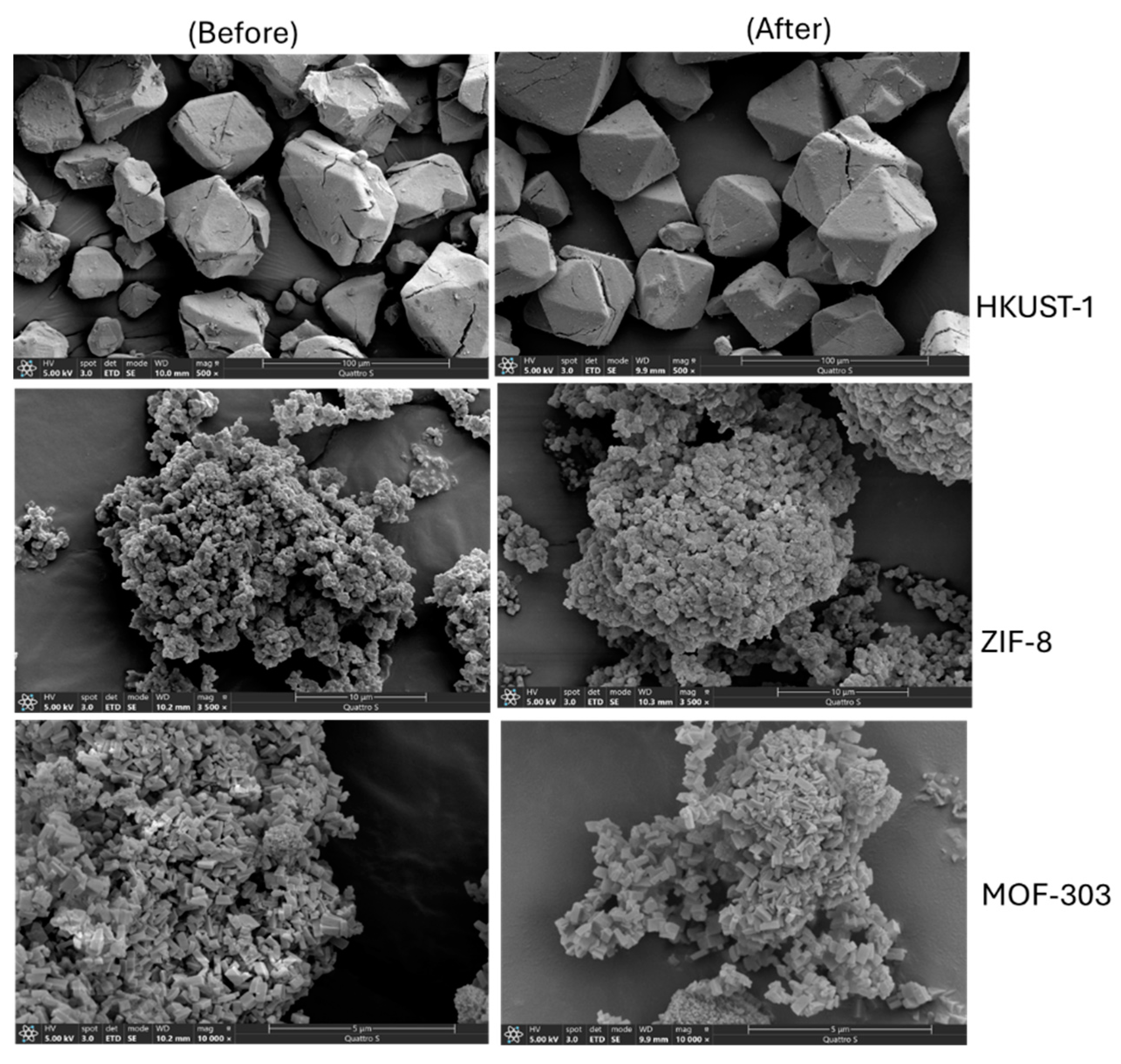 Preprints 103962 g006