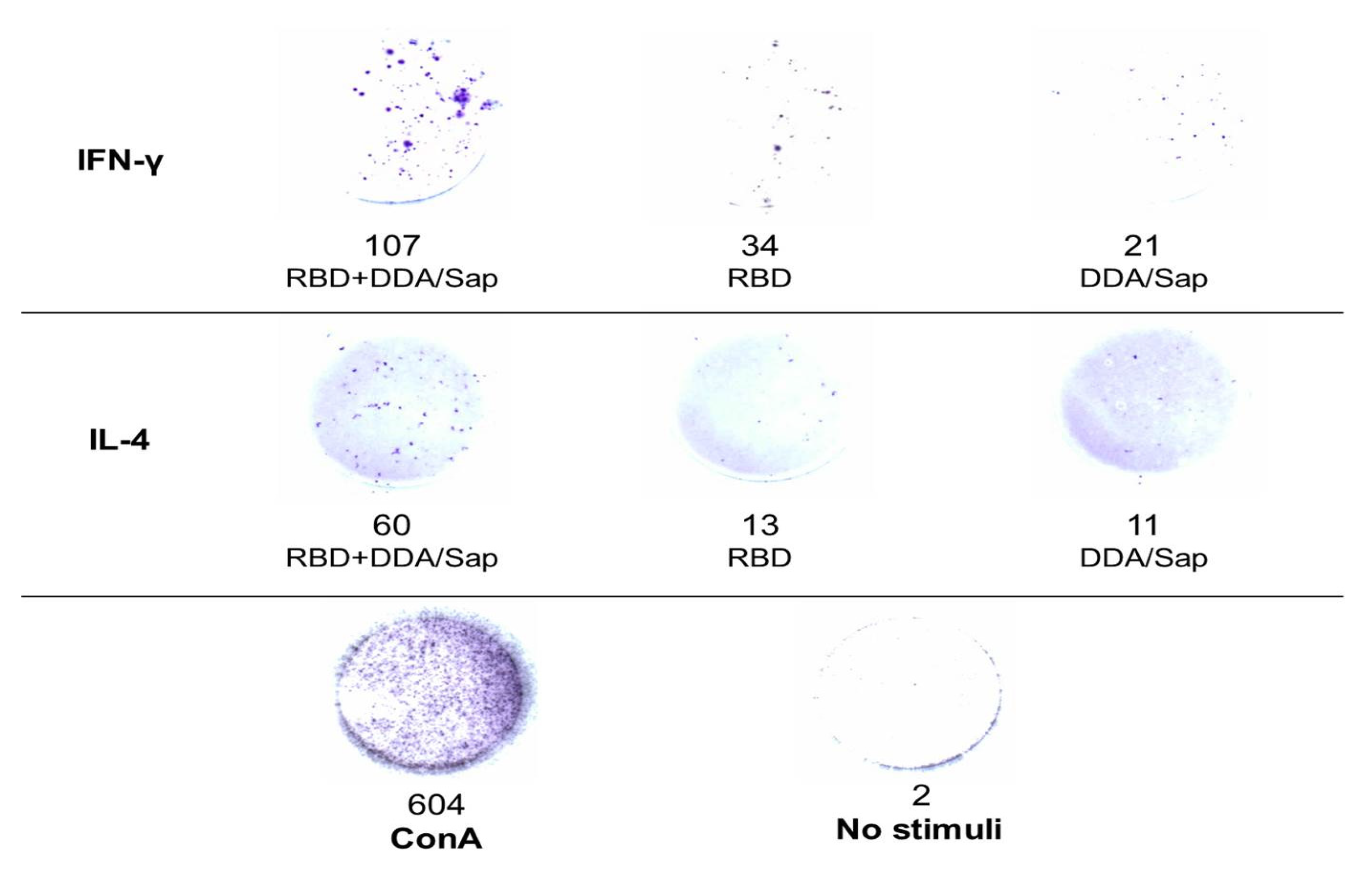 Preprints 85698 g004