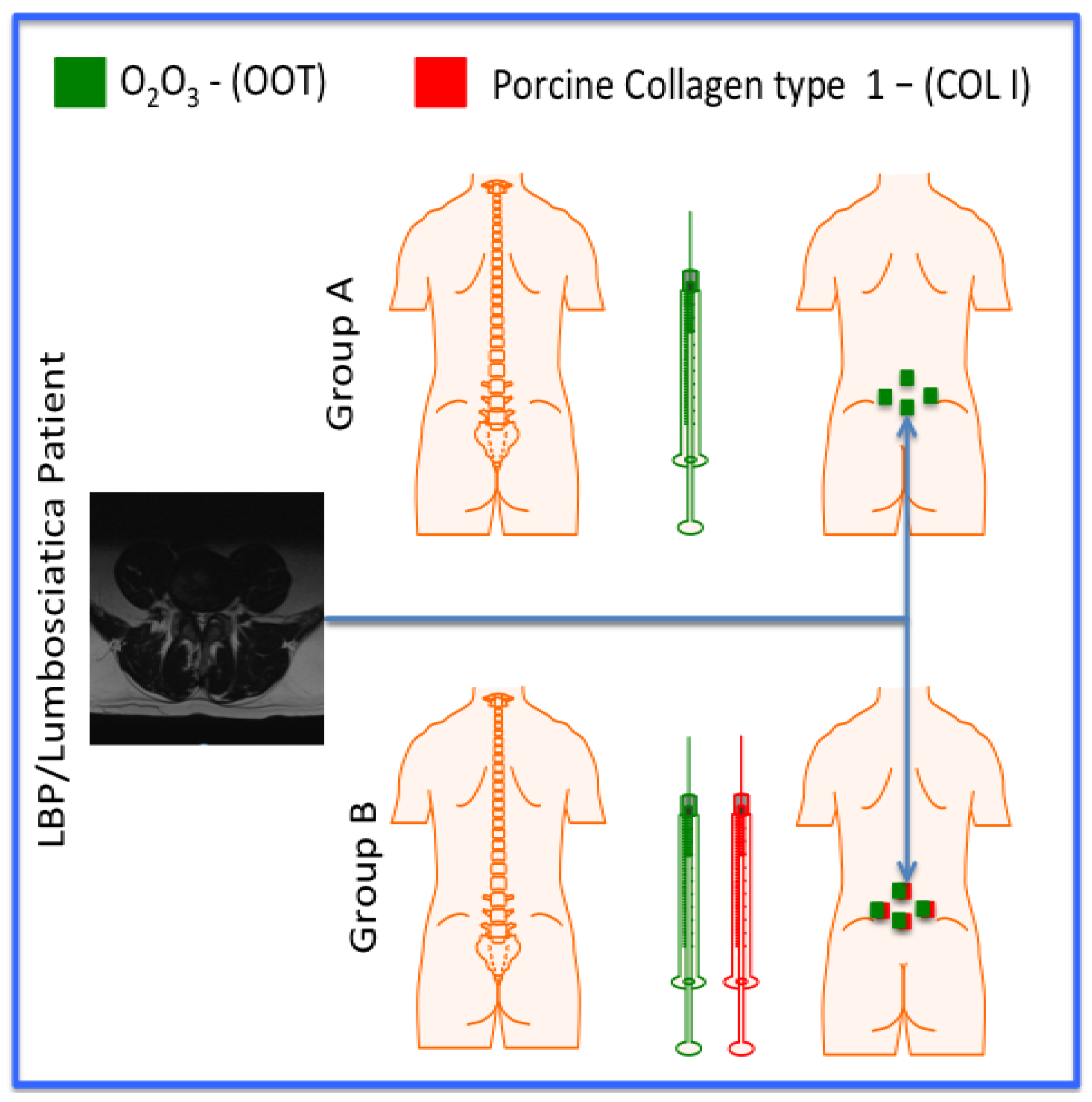 Preprints 118346 g001