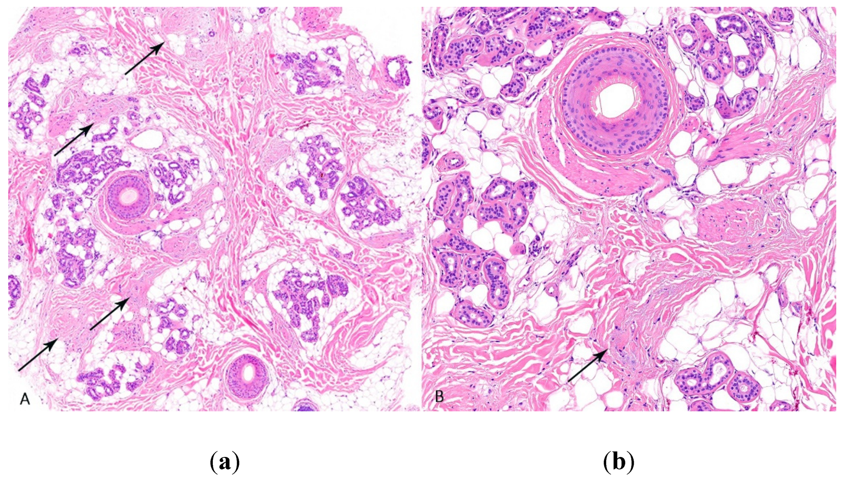 Preprints 78842 g005