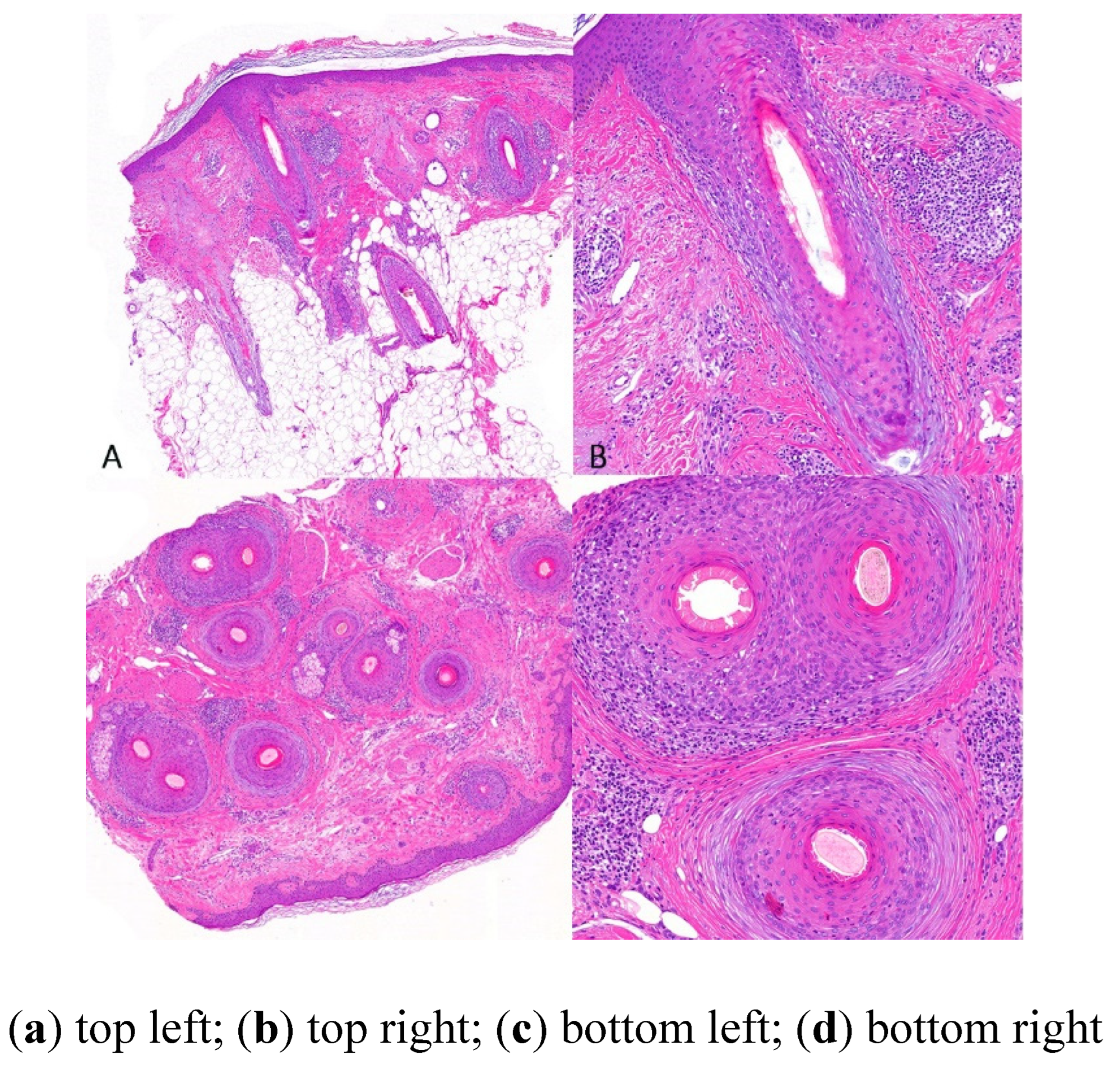 Preprints 78842 g009