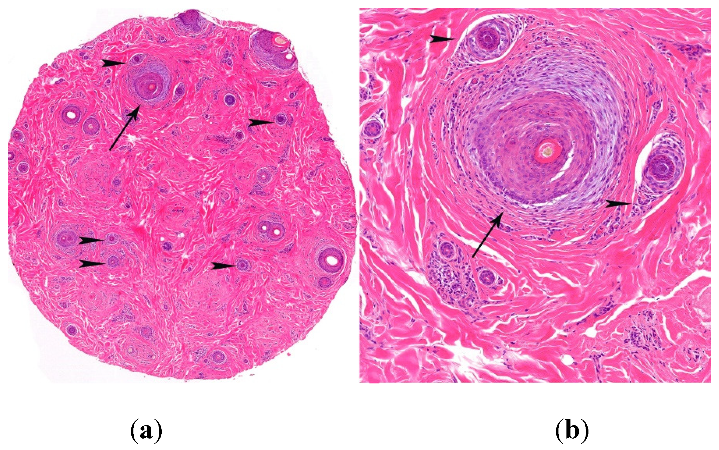 Preprints 78842 g010