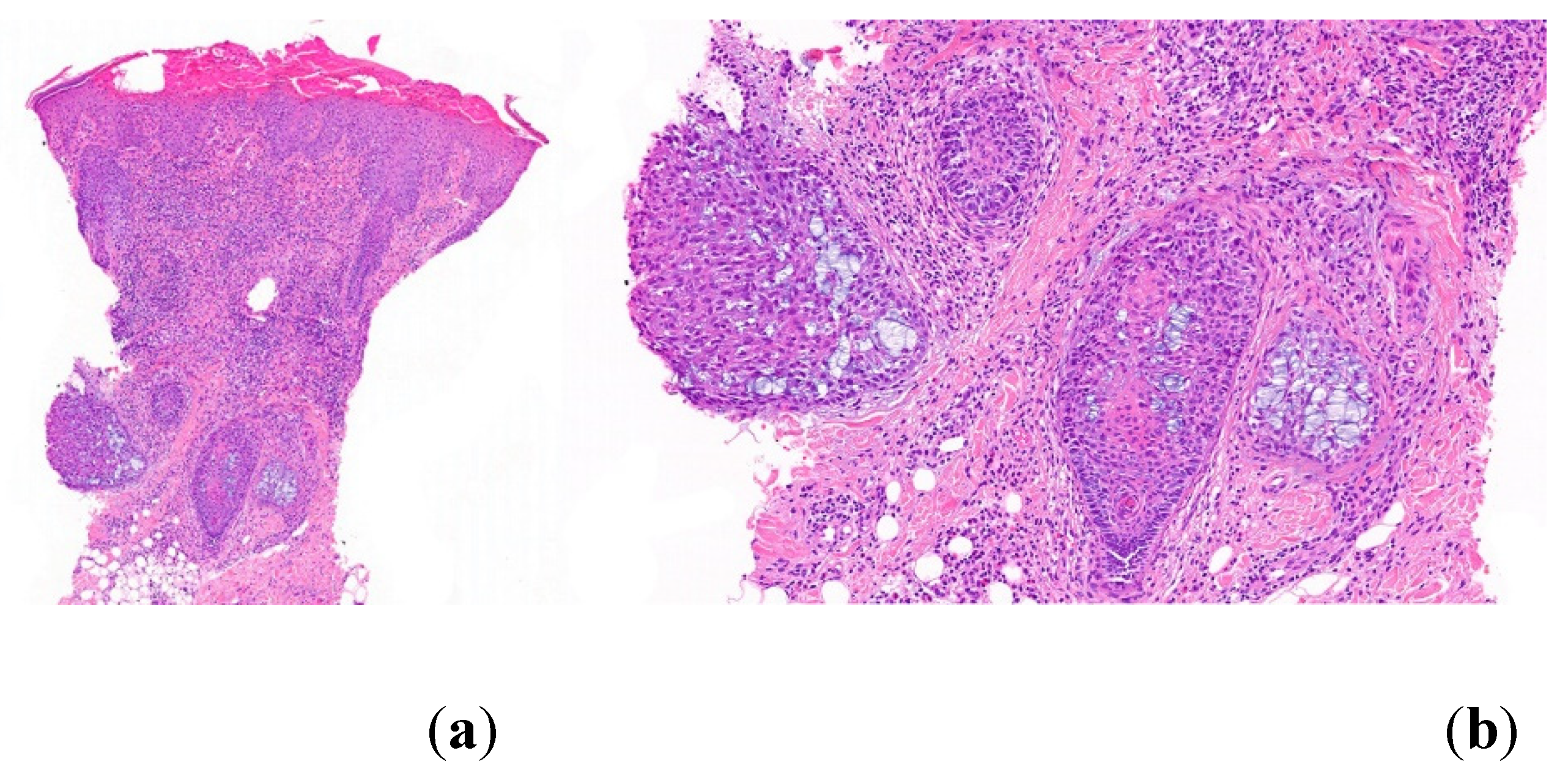 Preprints 78842 g013