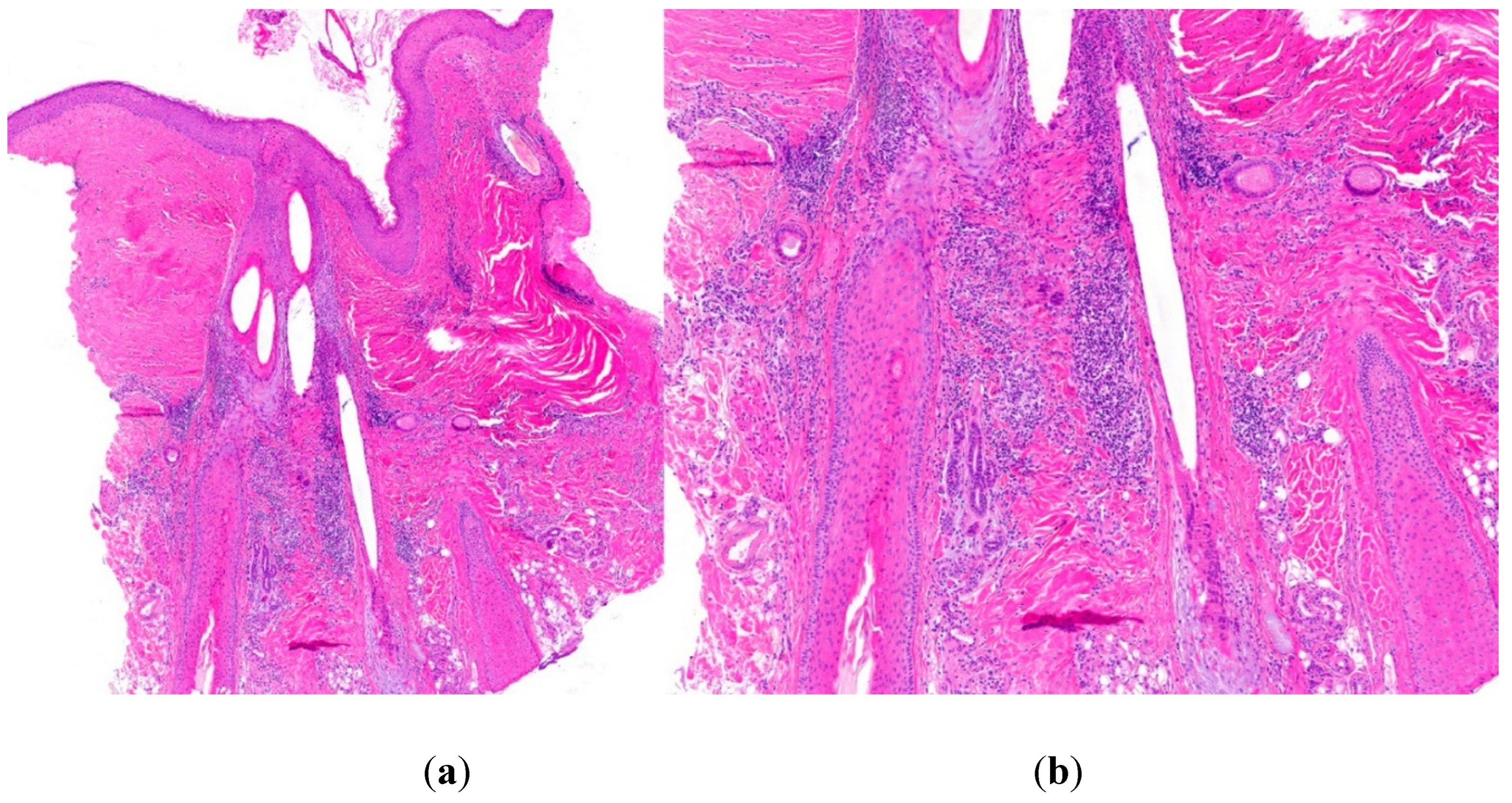 Preprints 78842 g014