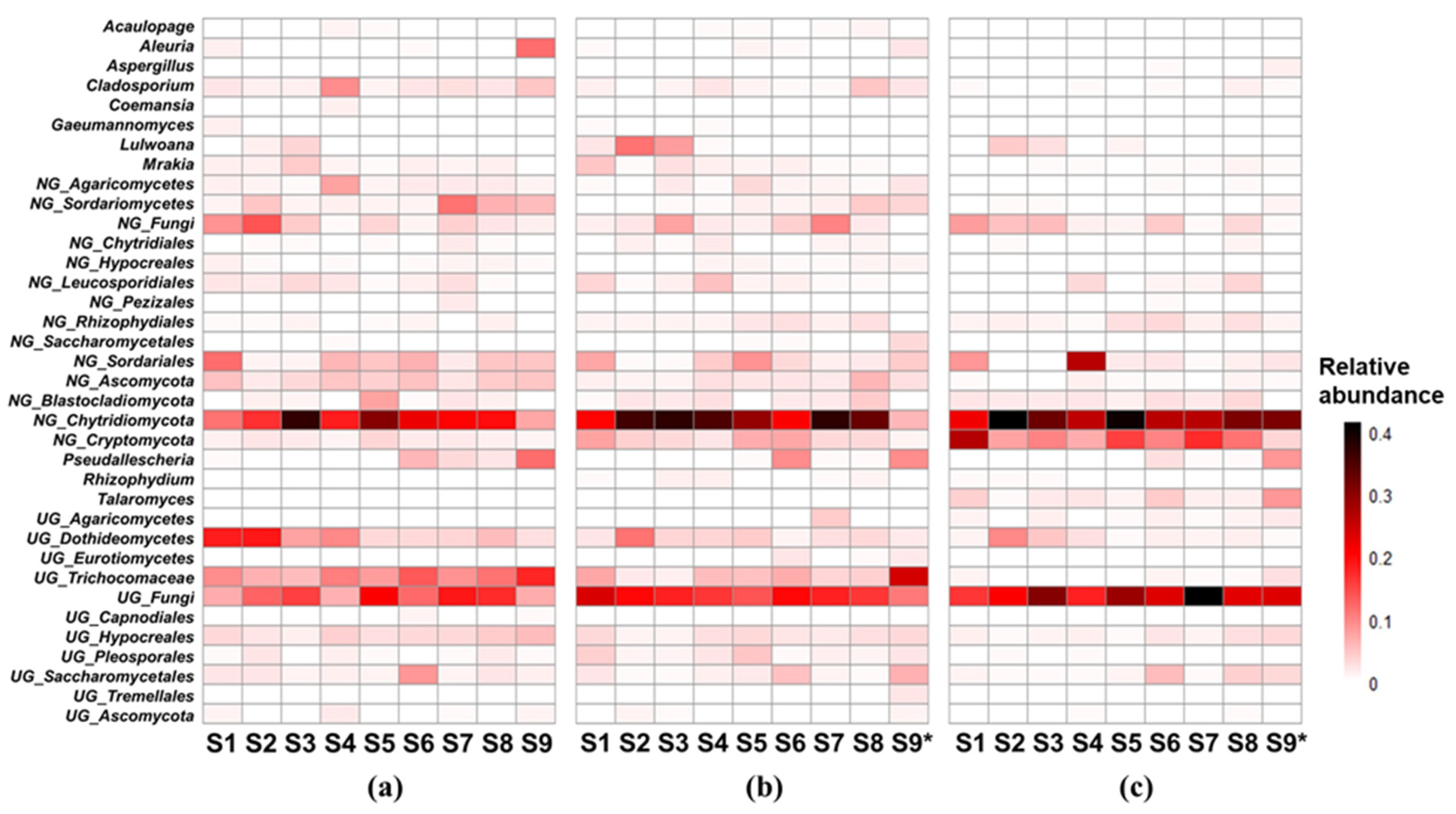 Preprints 116627 g003