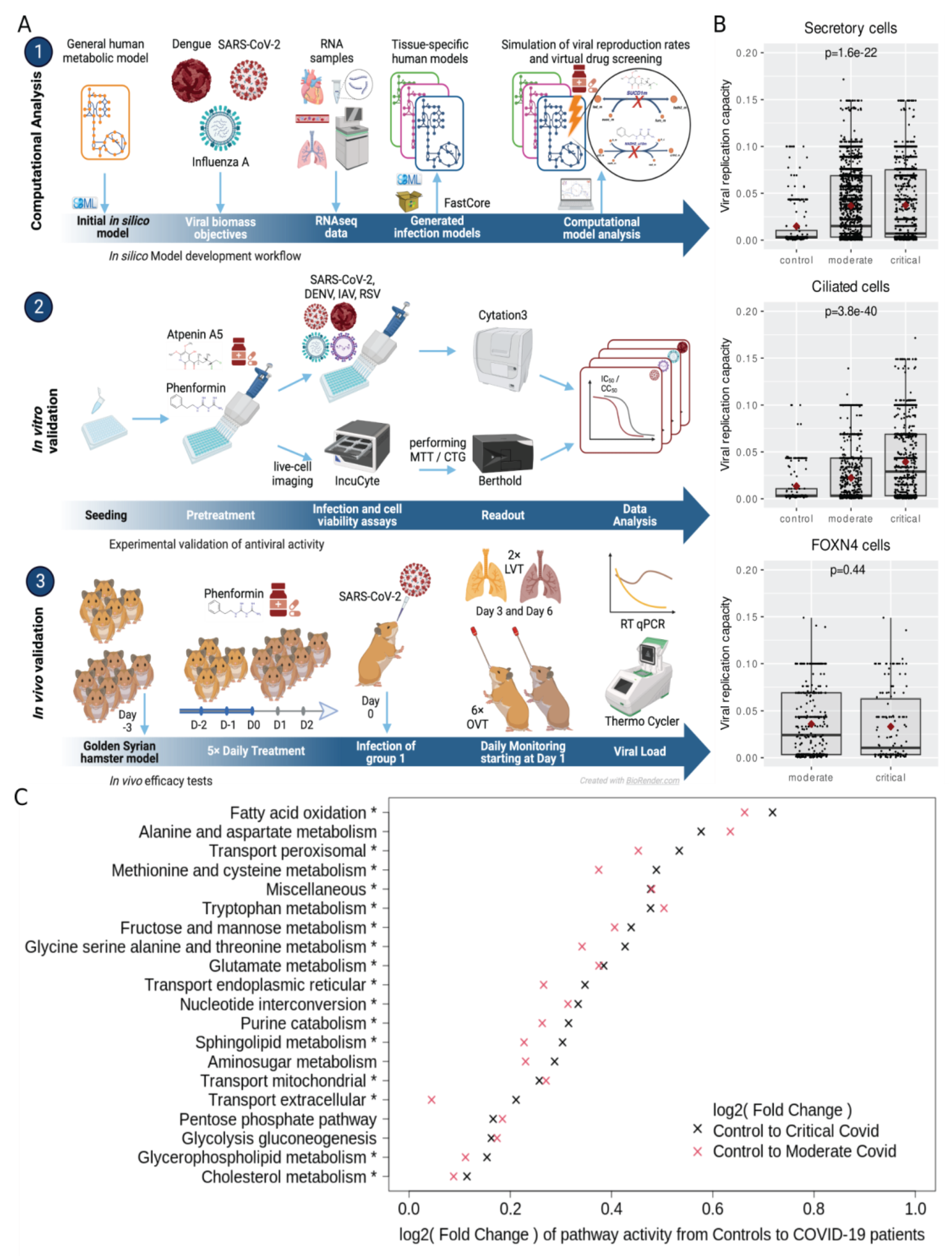 Preprints 102001 g001