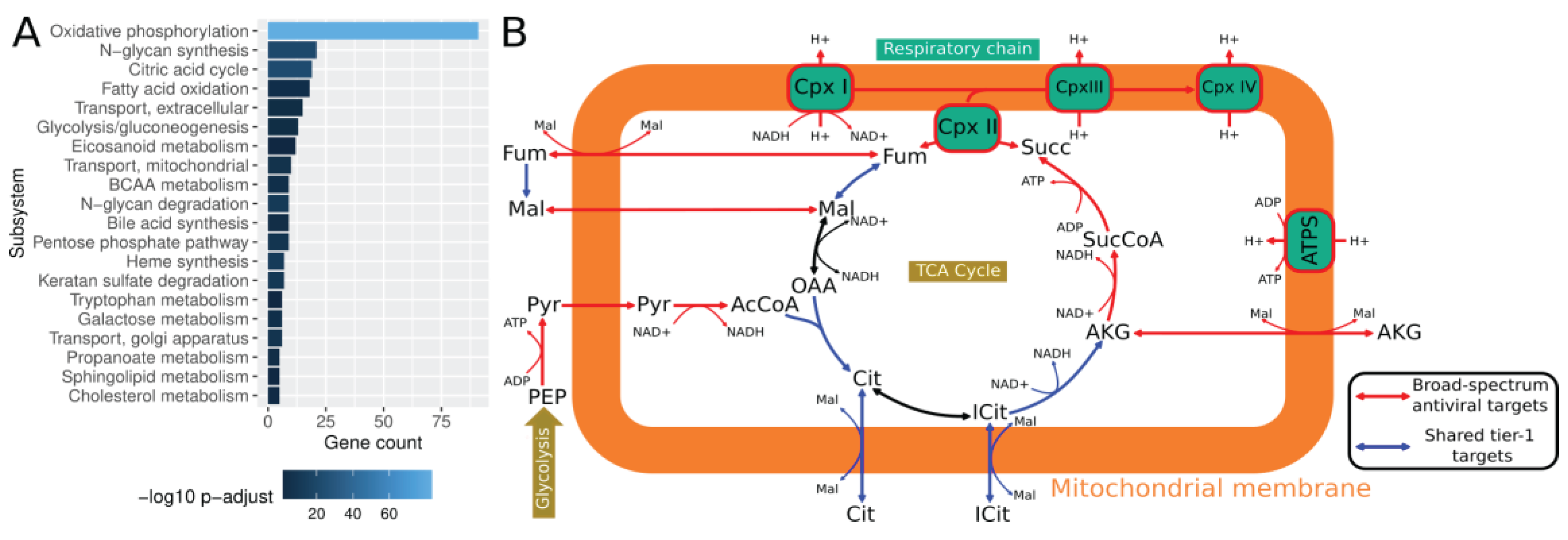 Preprints 102001 g003