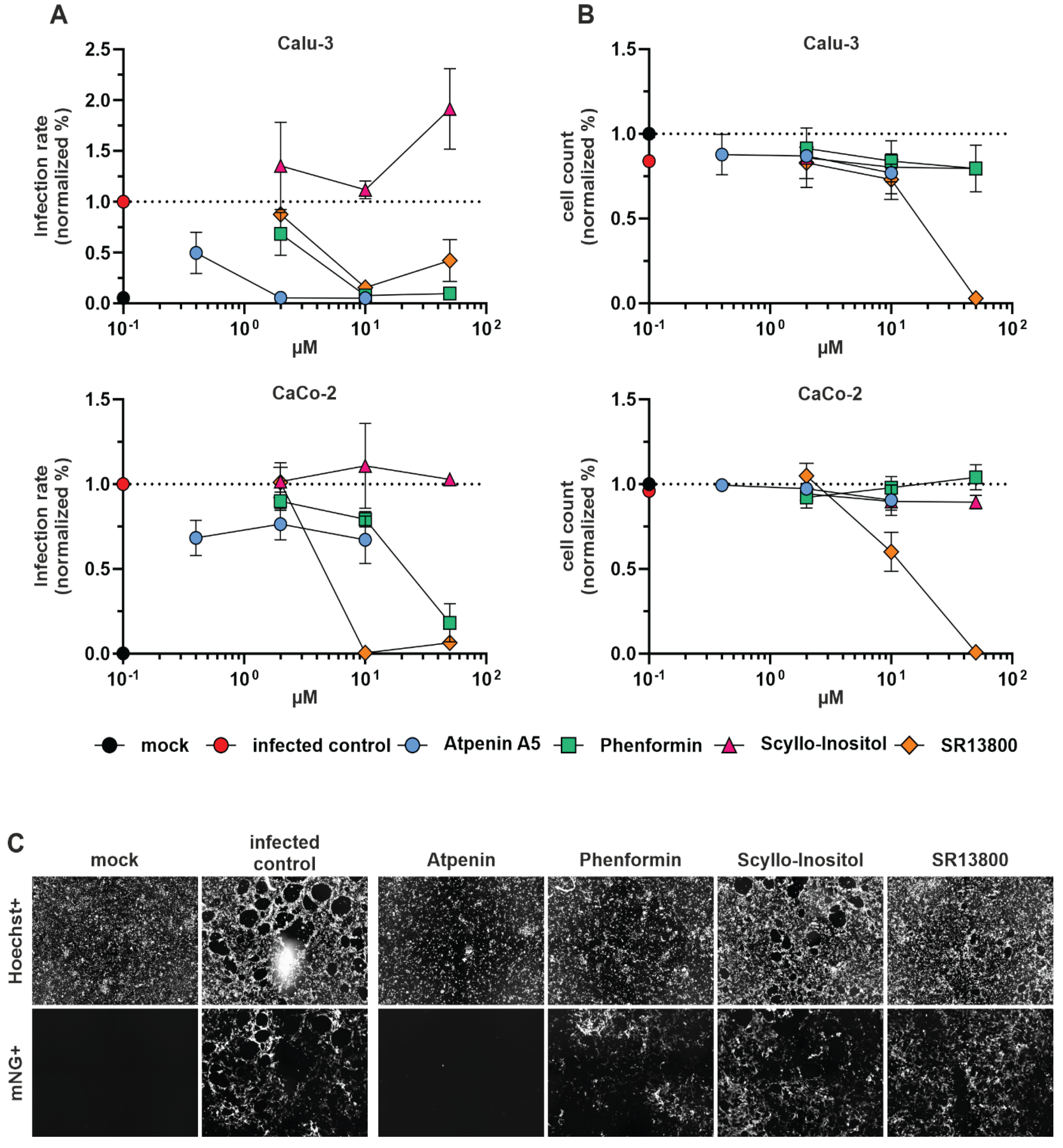 Preprints 102001 g004