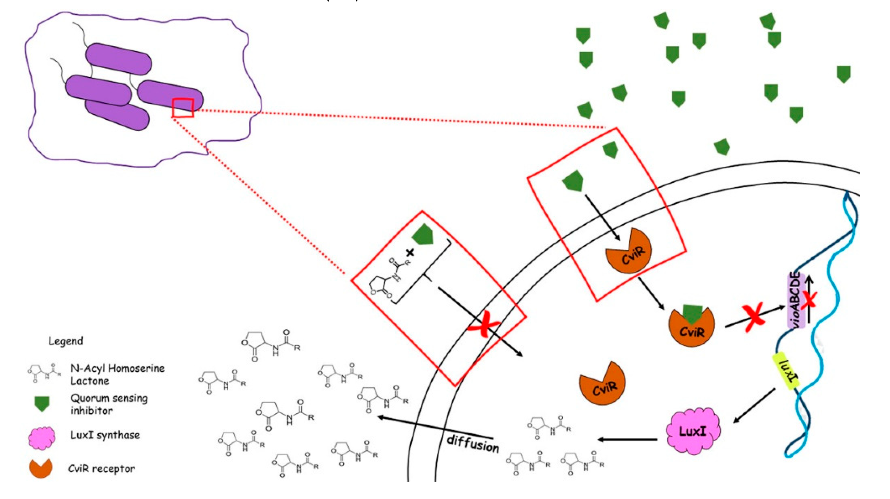 Preprints 73510 g001