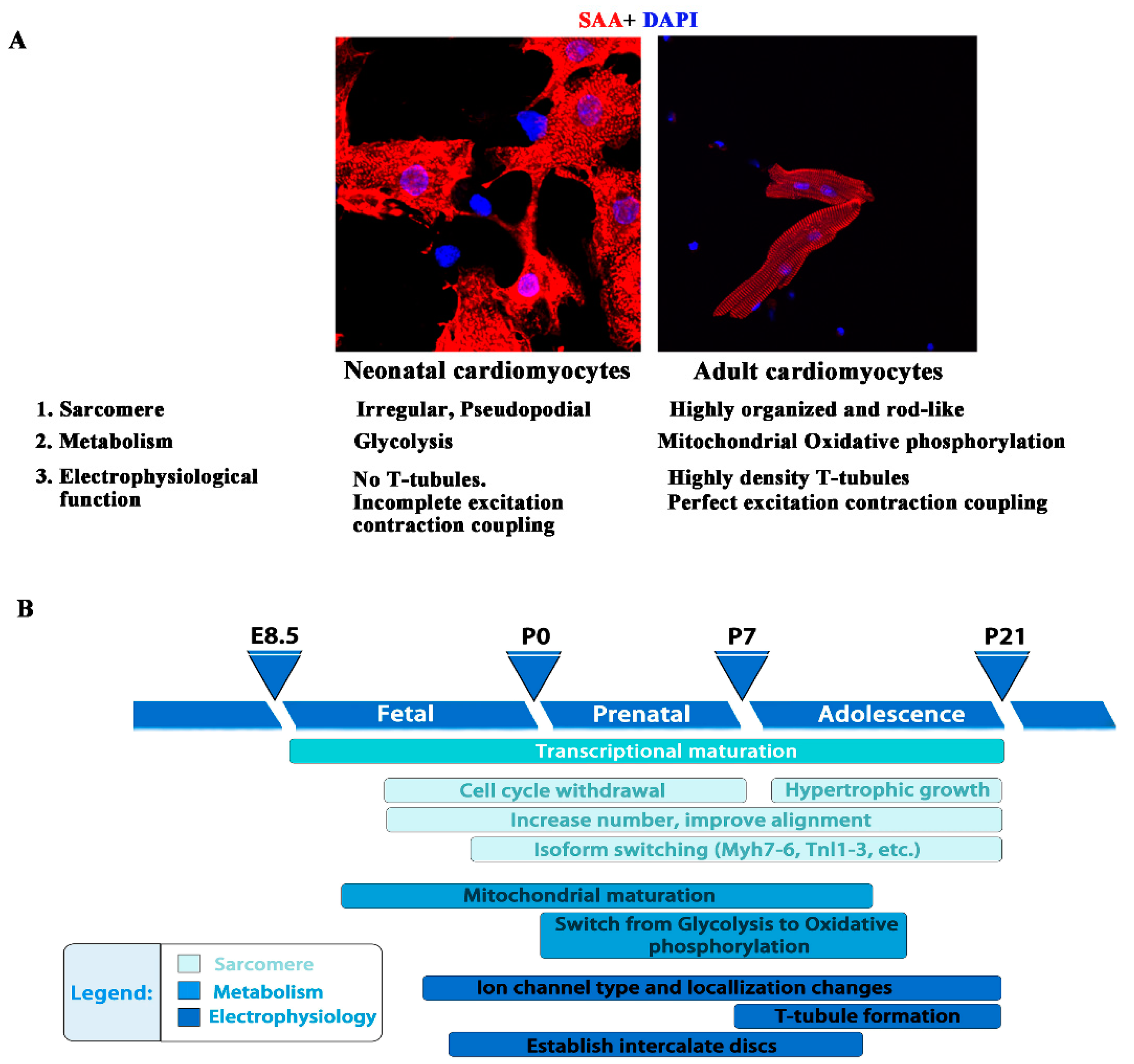 Preprints 99711 g001