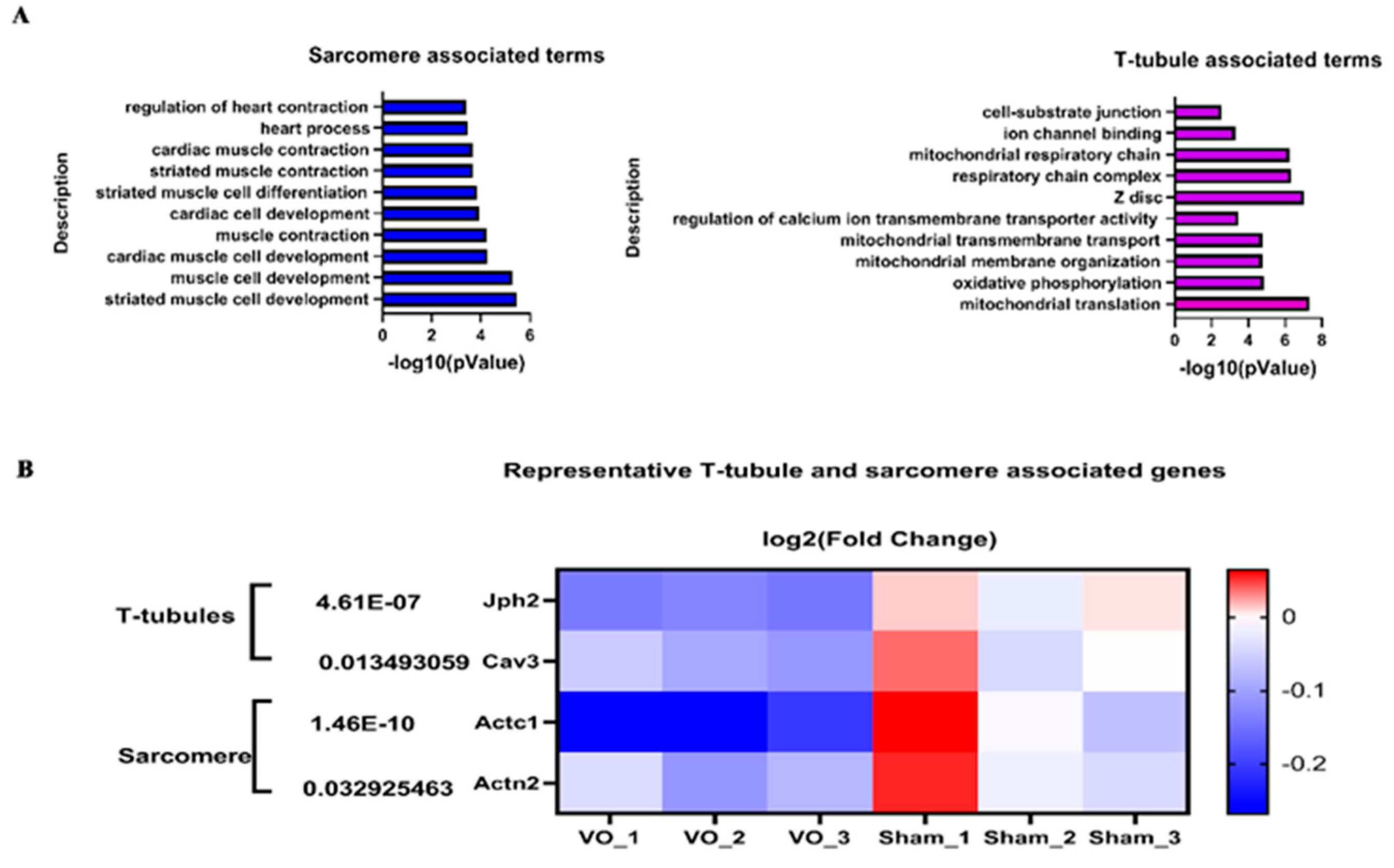 Preprints 99711 g006