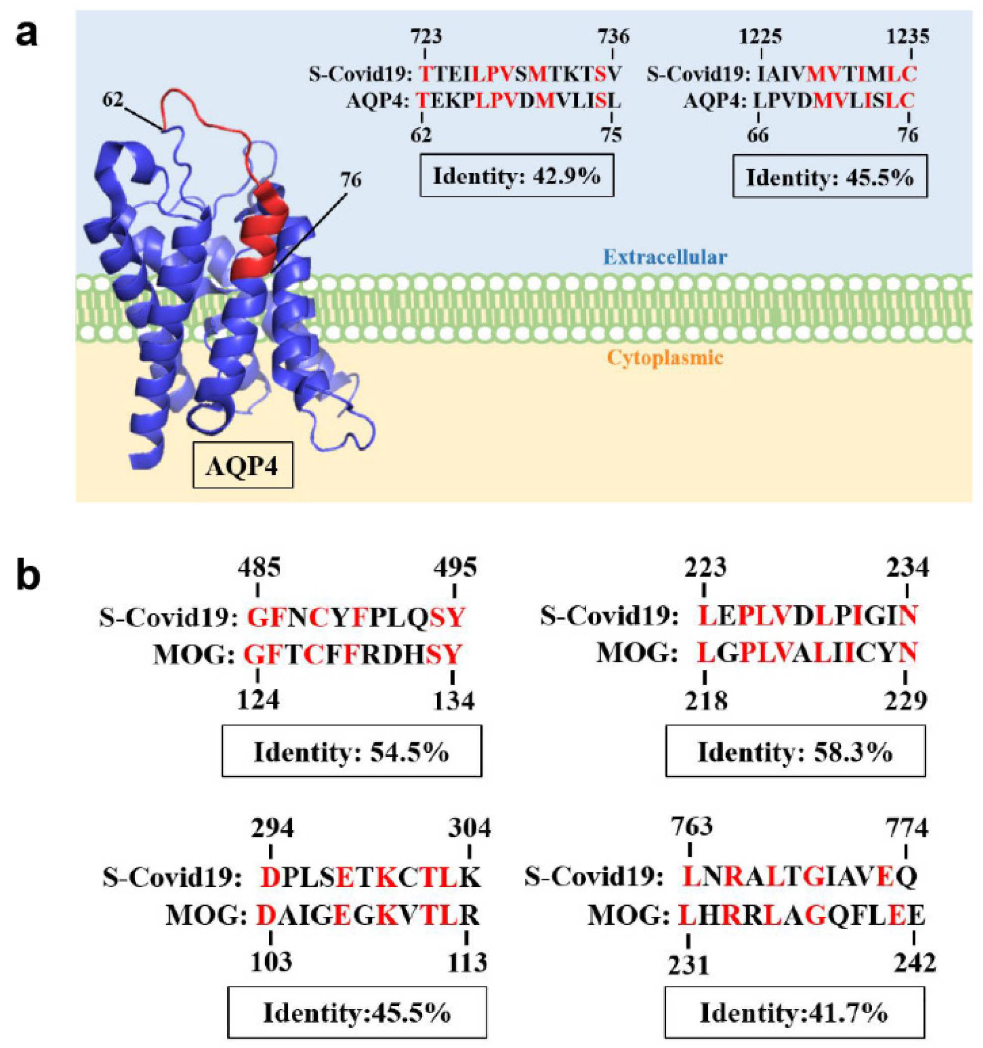 Preprints 98505 g004