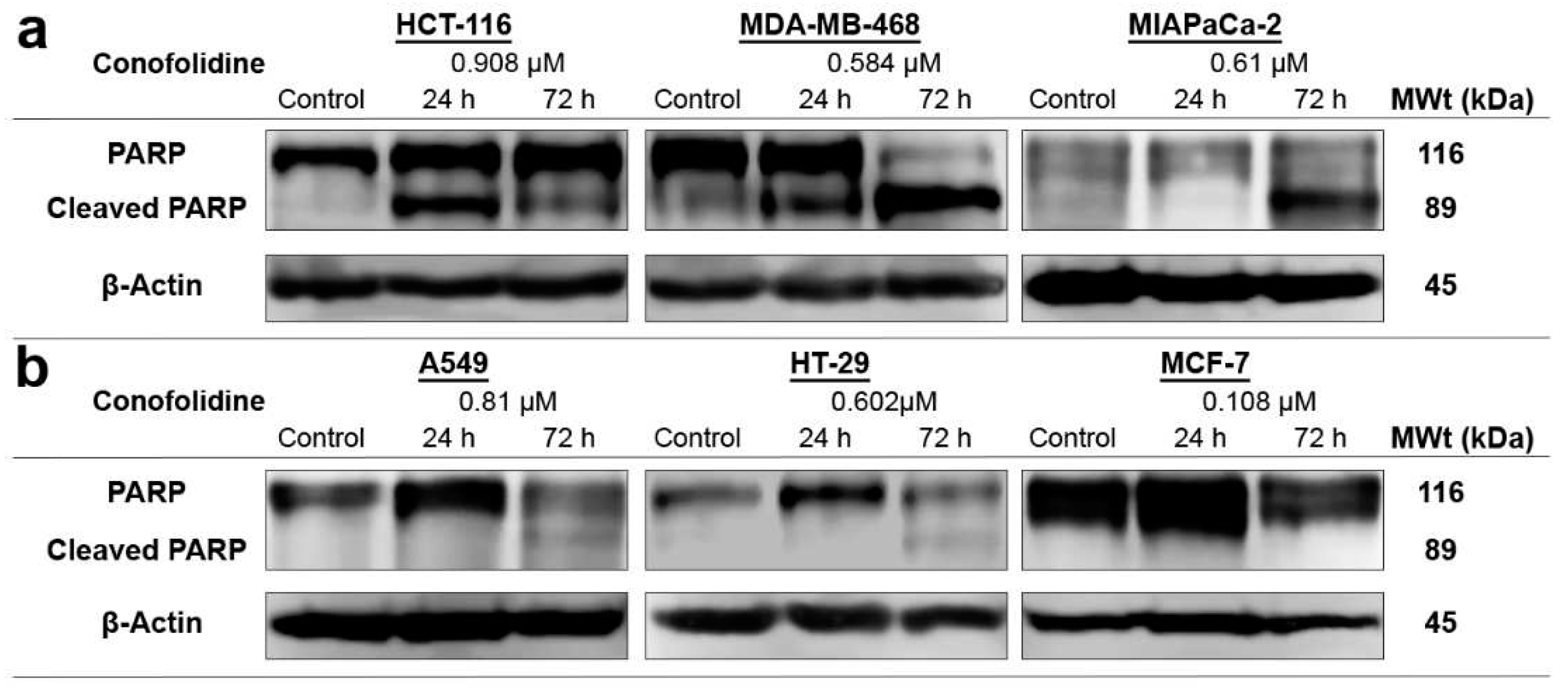 Preprints 95627 g007