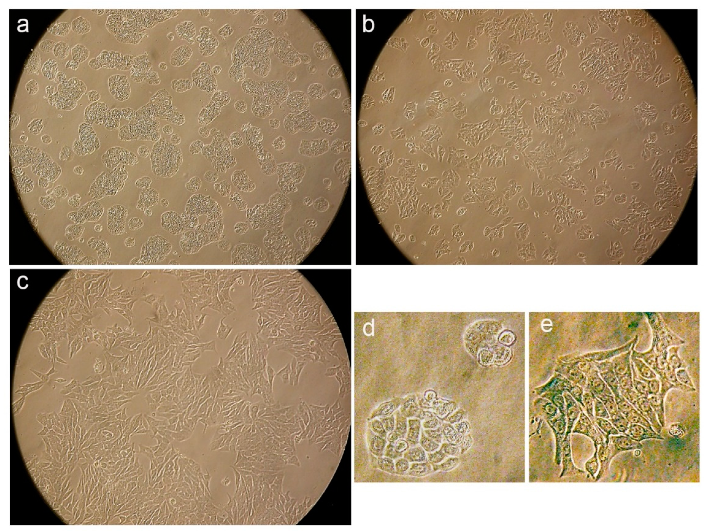 Preprints 95627 g008