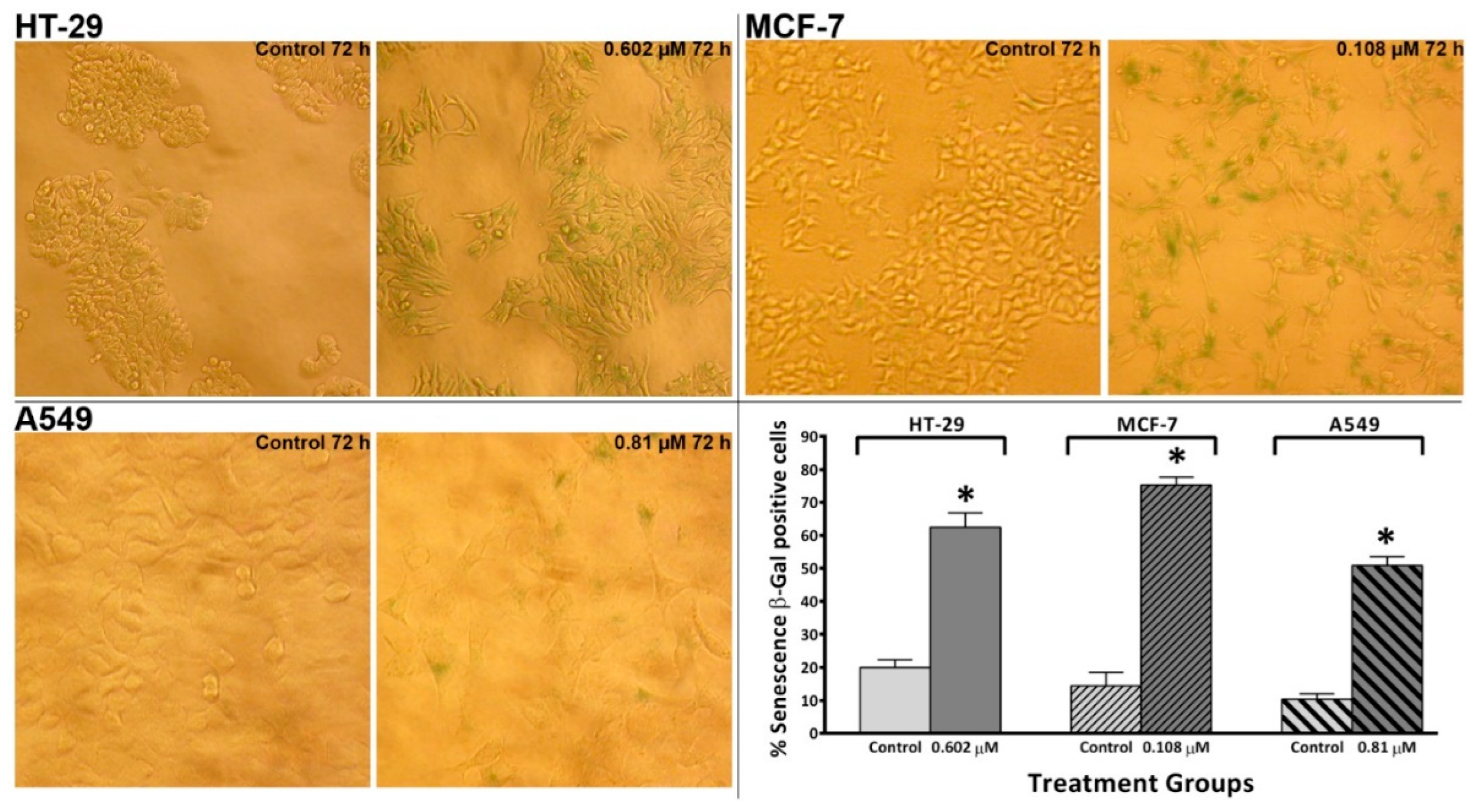 Preprints 95627 g009