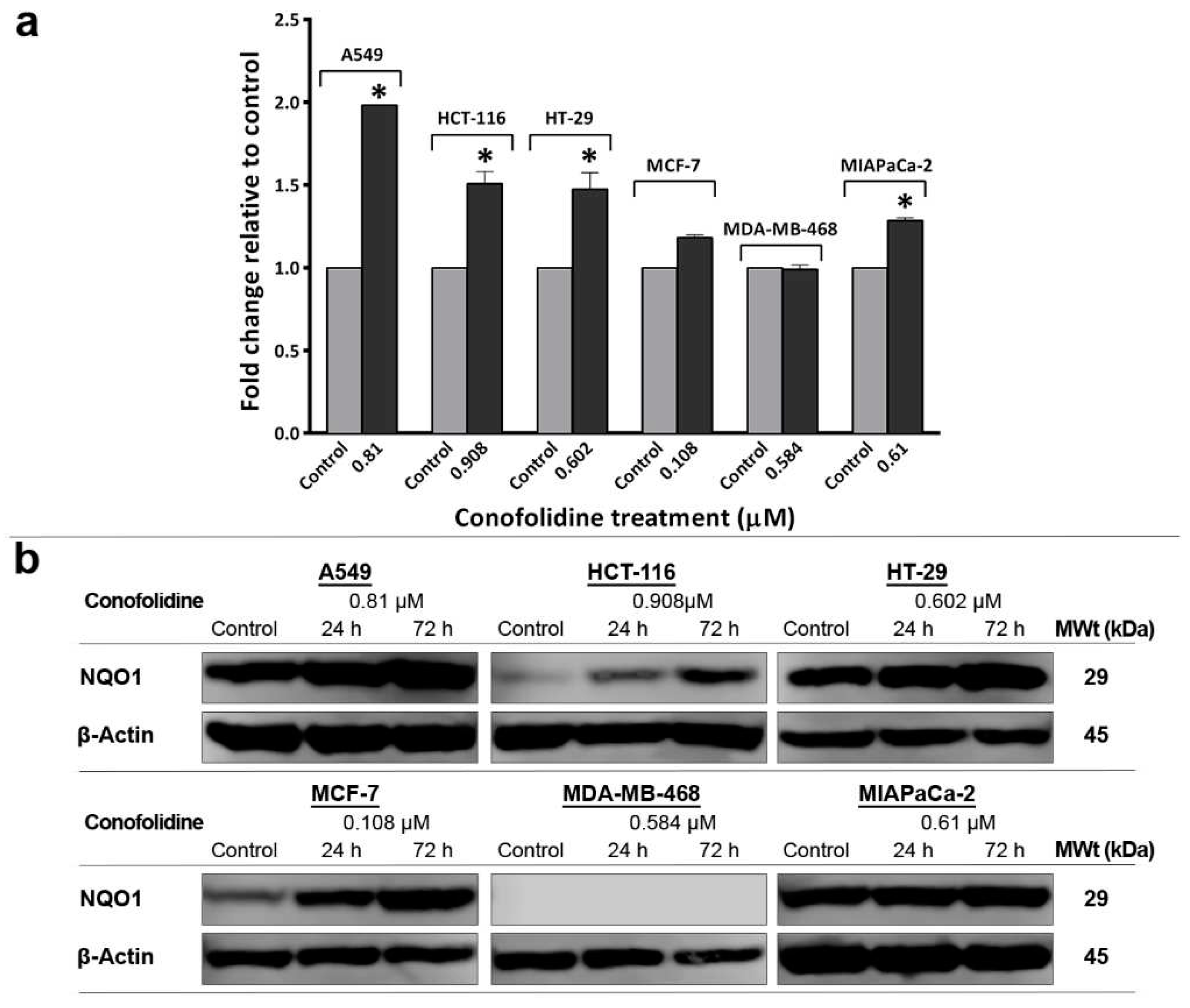 Preprints 95627 g013