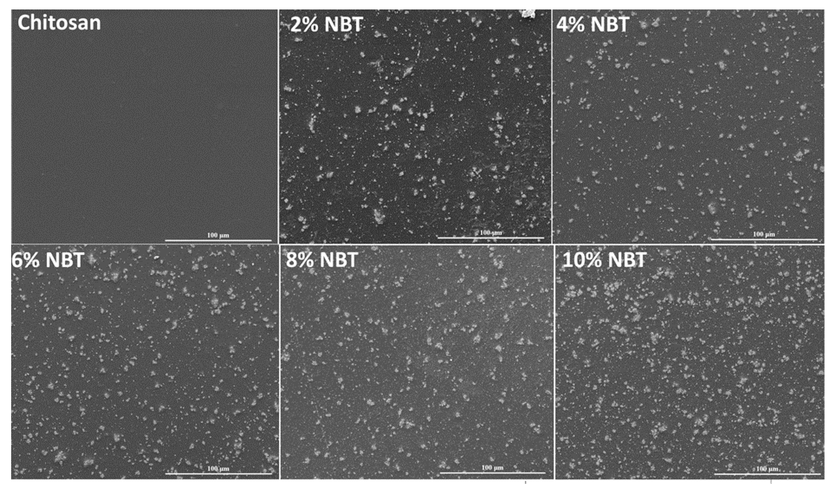 Preprints 84681 g005