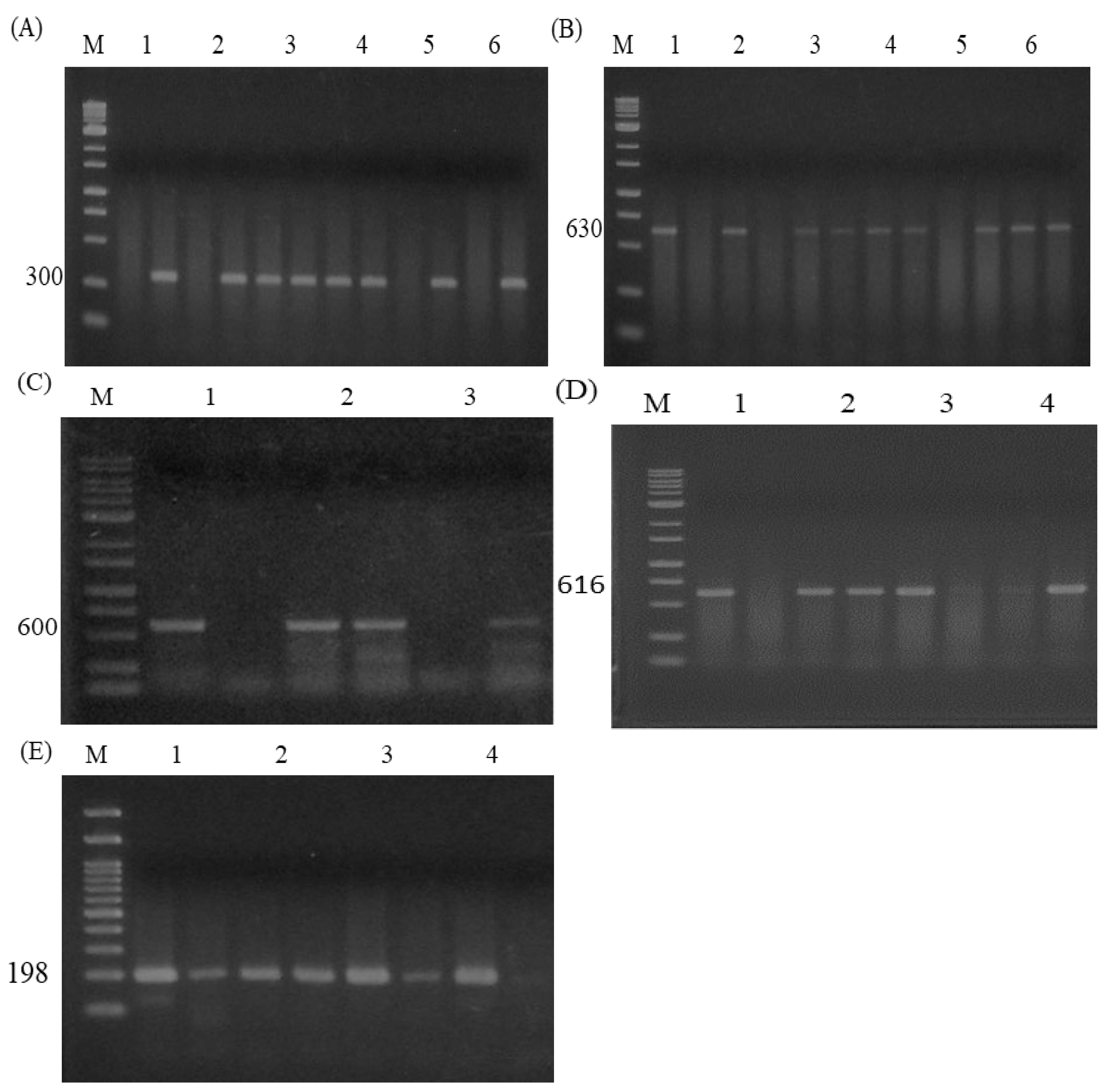 Preprints 121047 g003