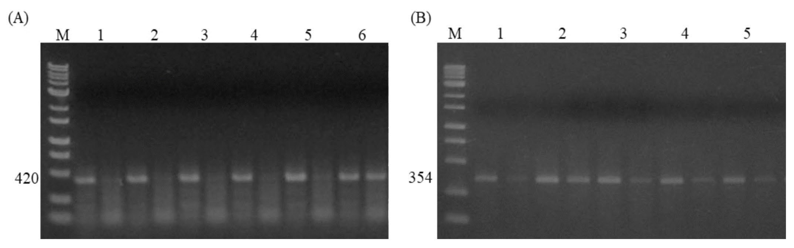 Preprints 121047 g004