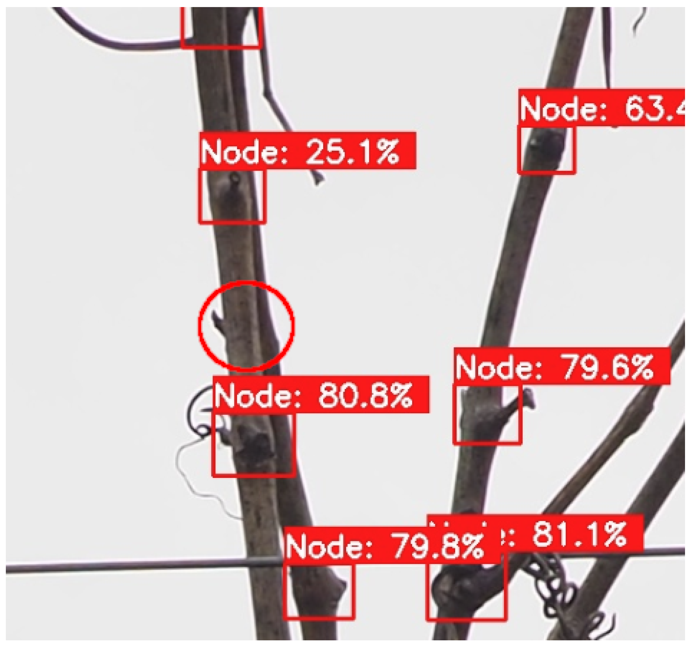 Preprints 117135 g007