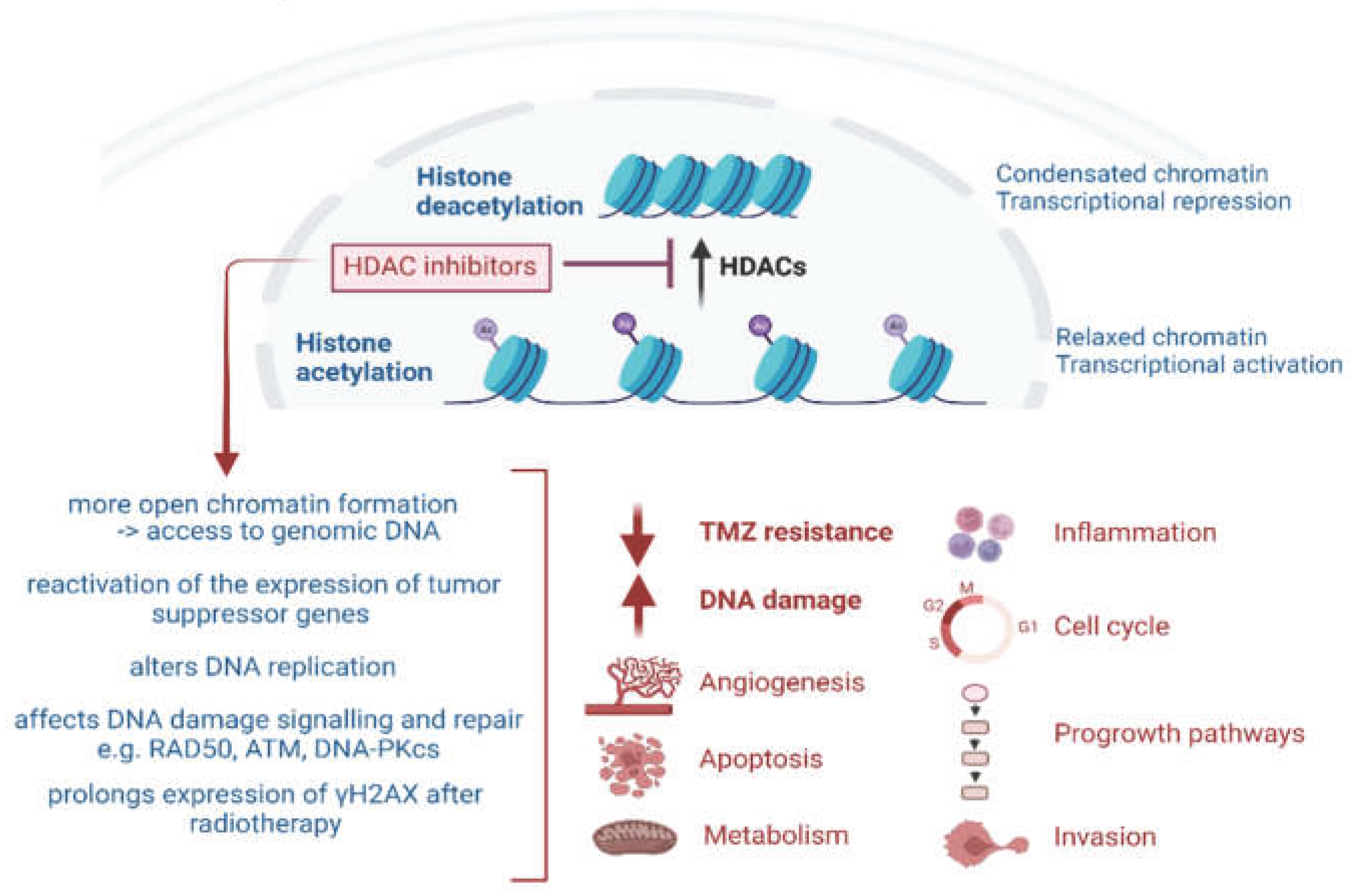 Preprints 102783 g001