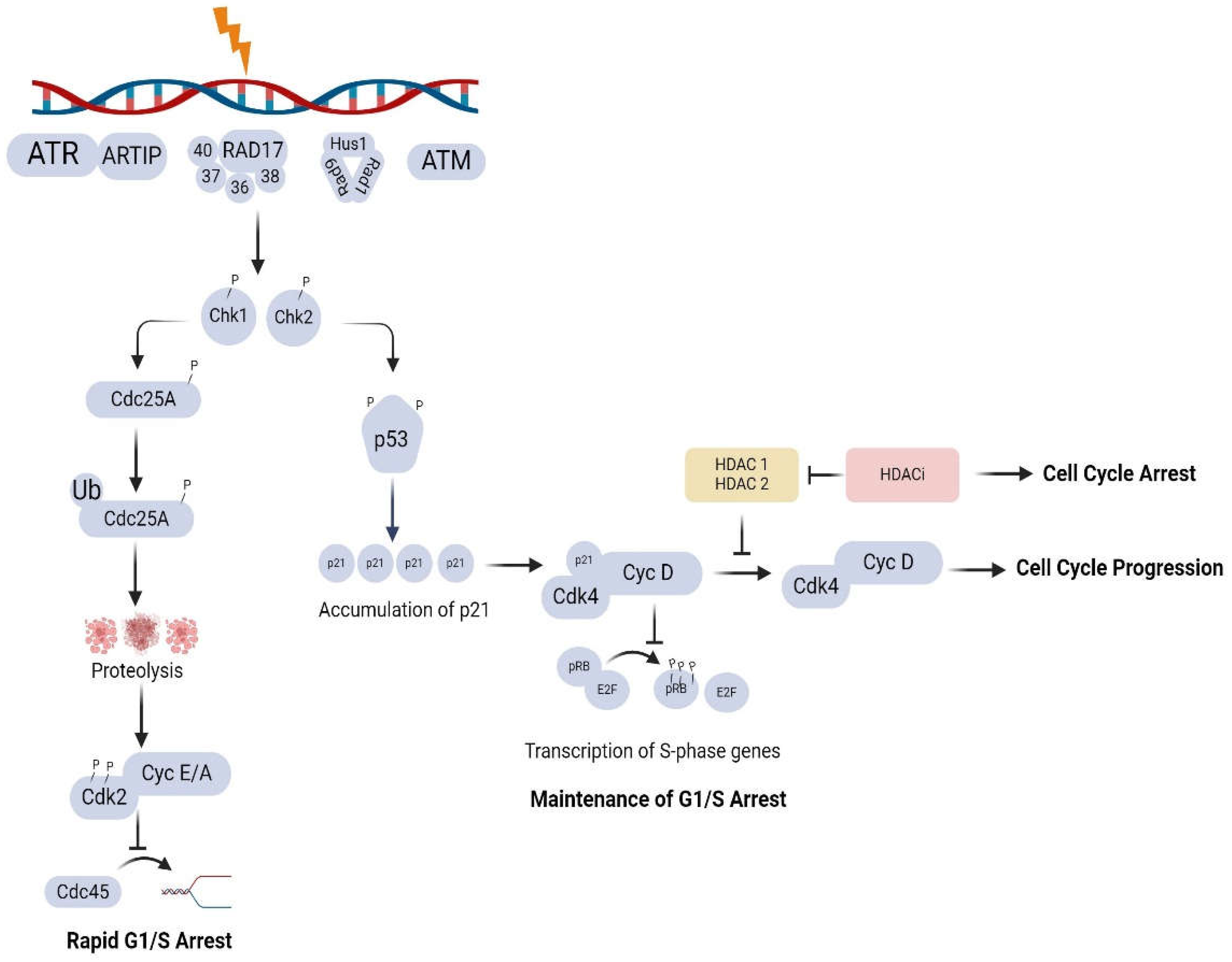 Preprints 102783 g002