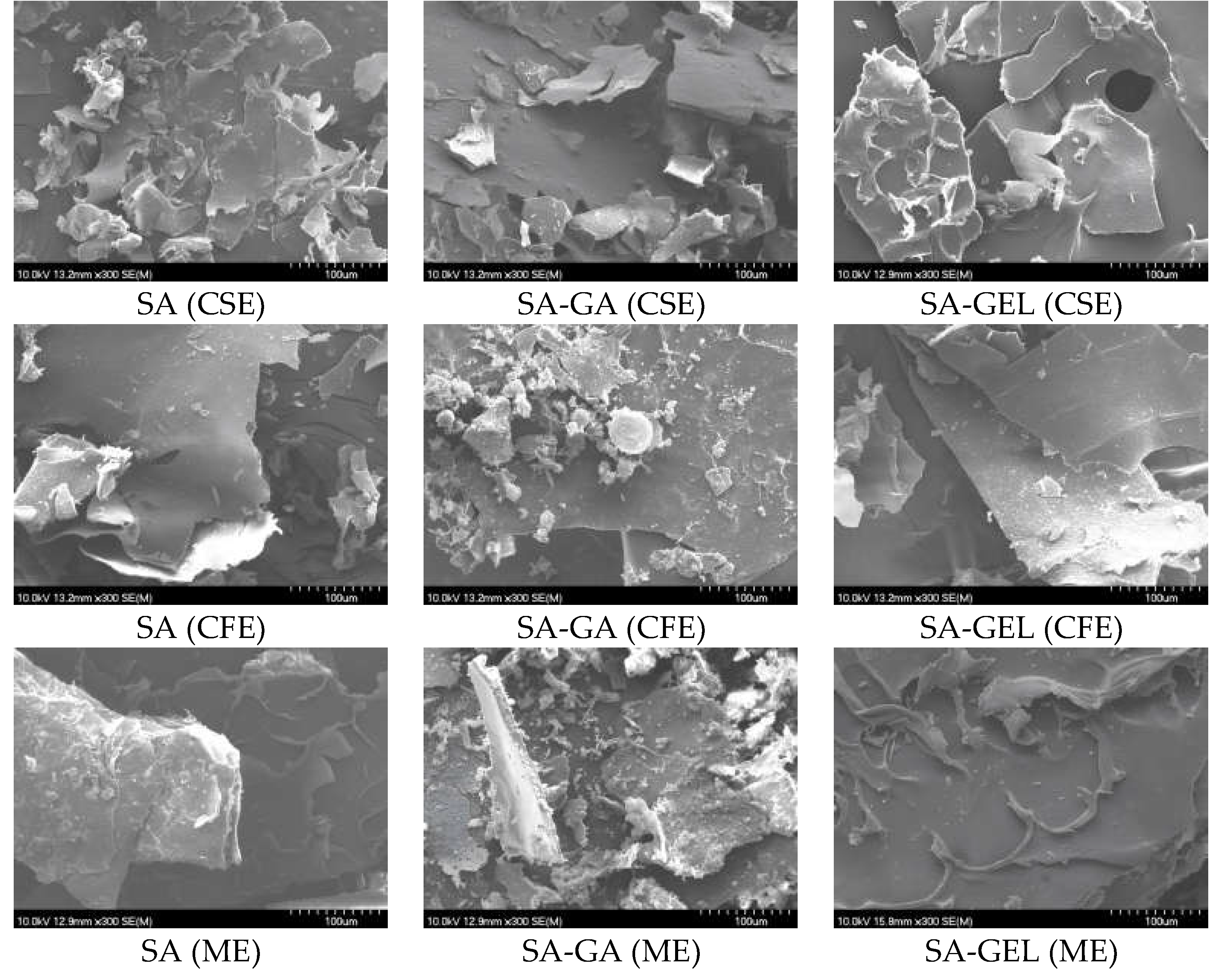 Preprints 105554 g003