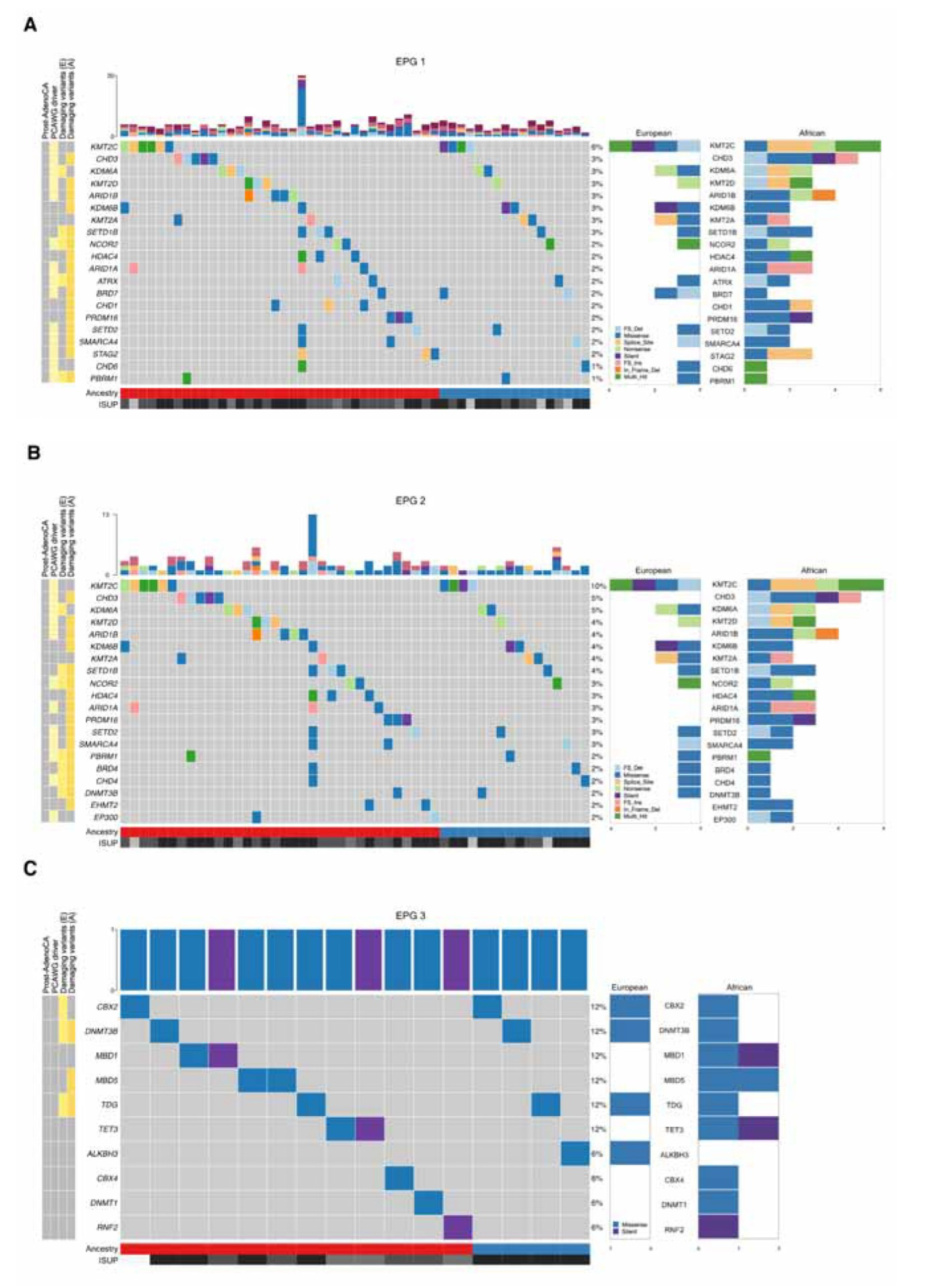 Preprints 74646 g001a