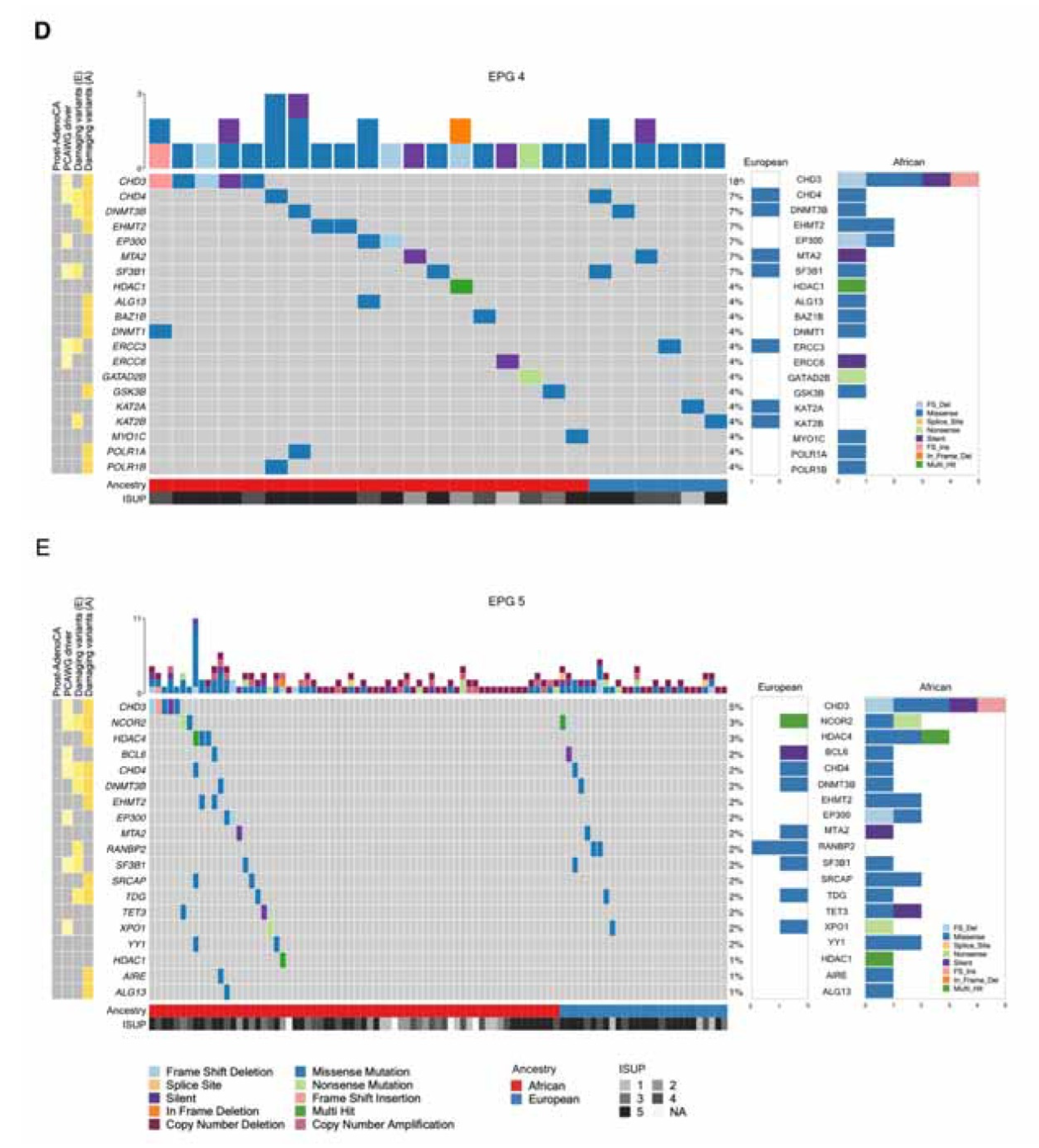 Preprints 74646 g001b