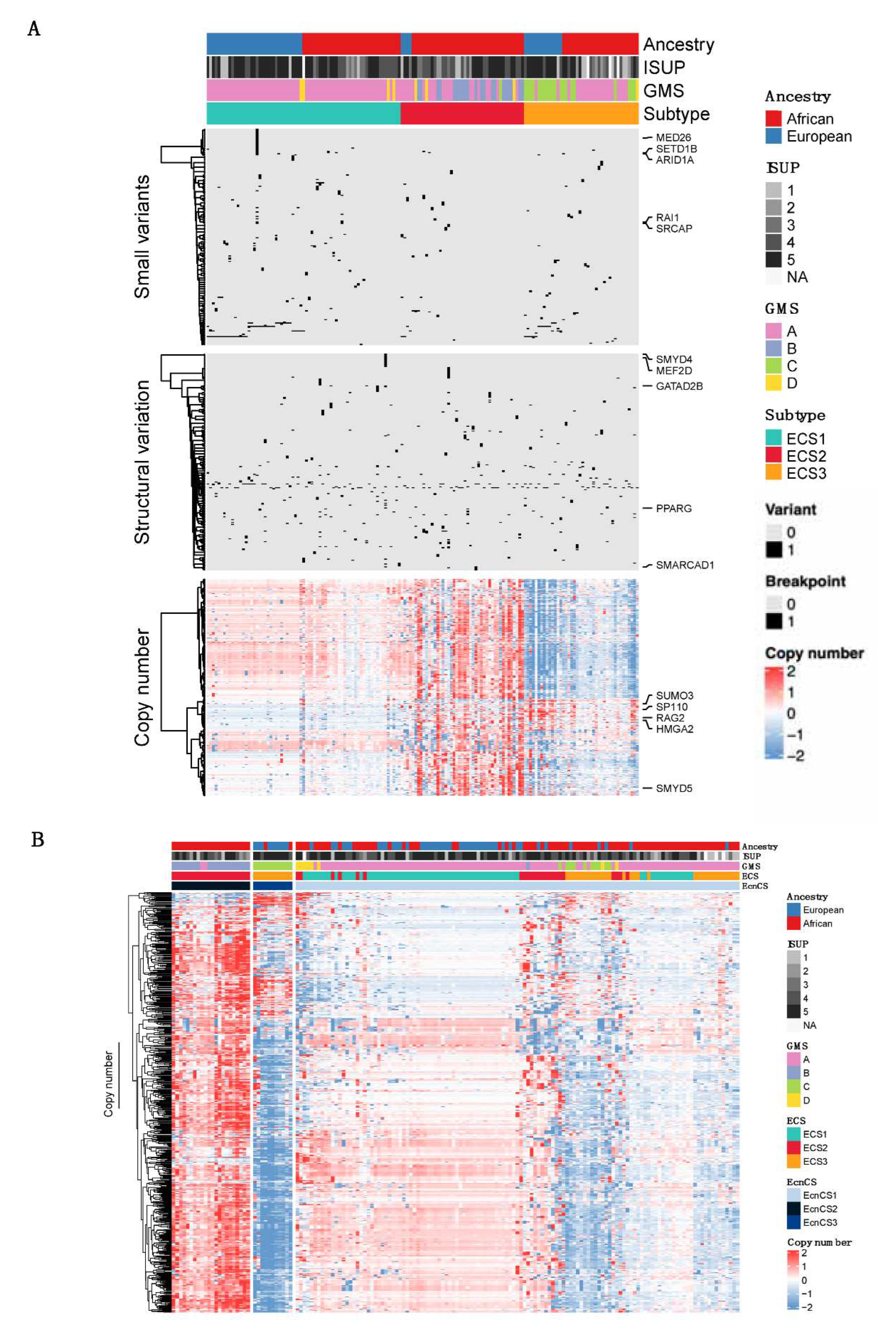 Preprints 74646 g002