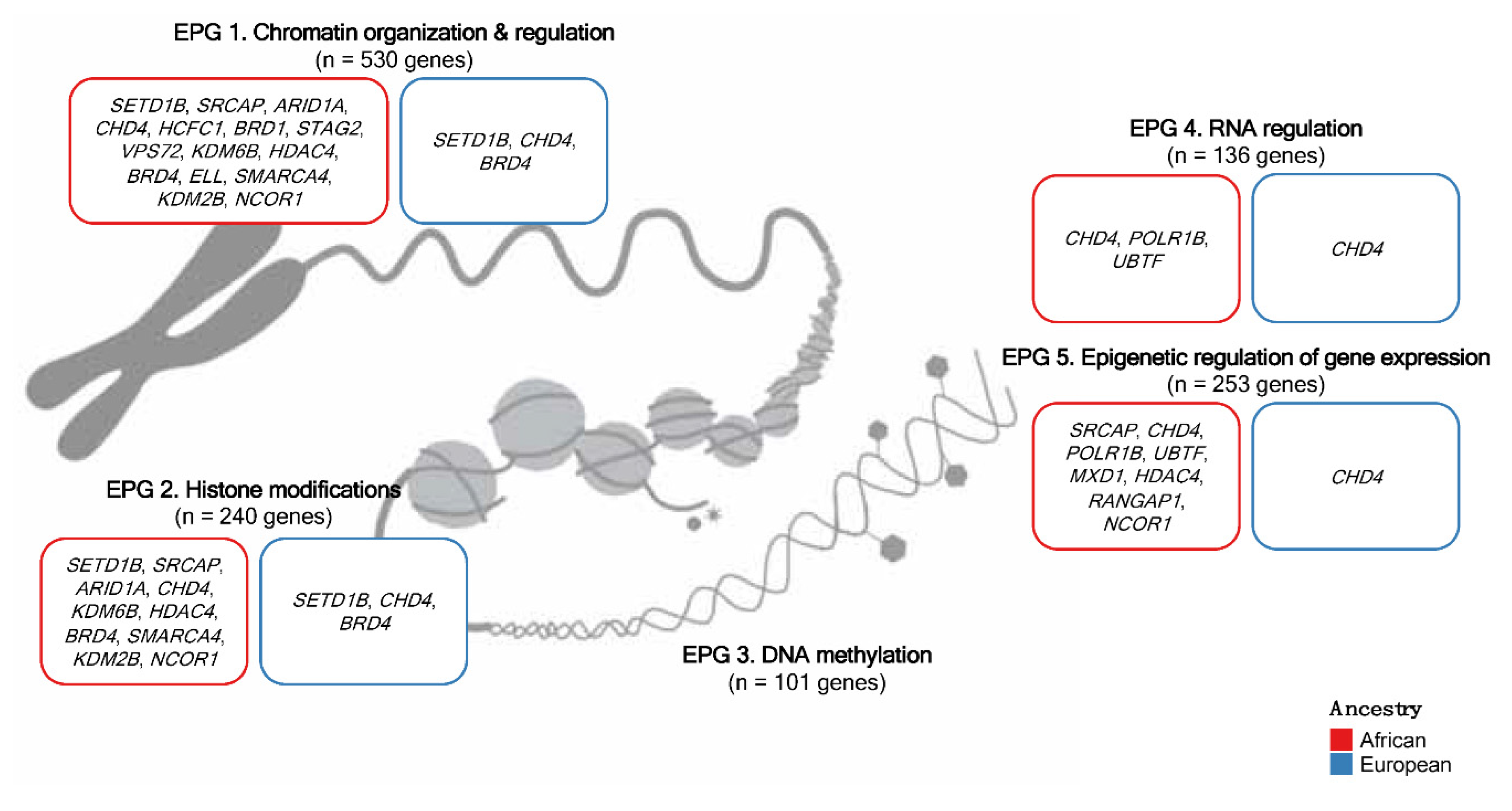 Preprints 74646 g004