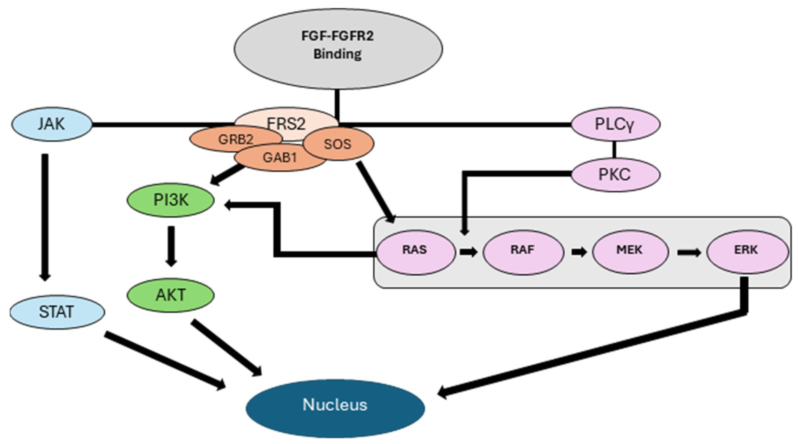 Preprints 118454 g001