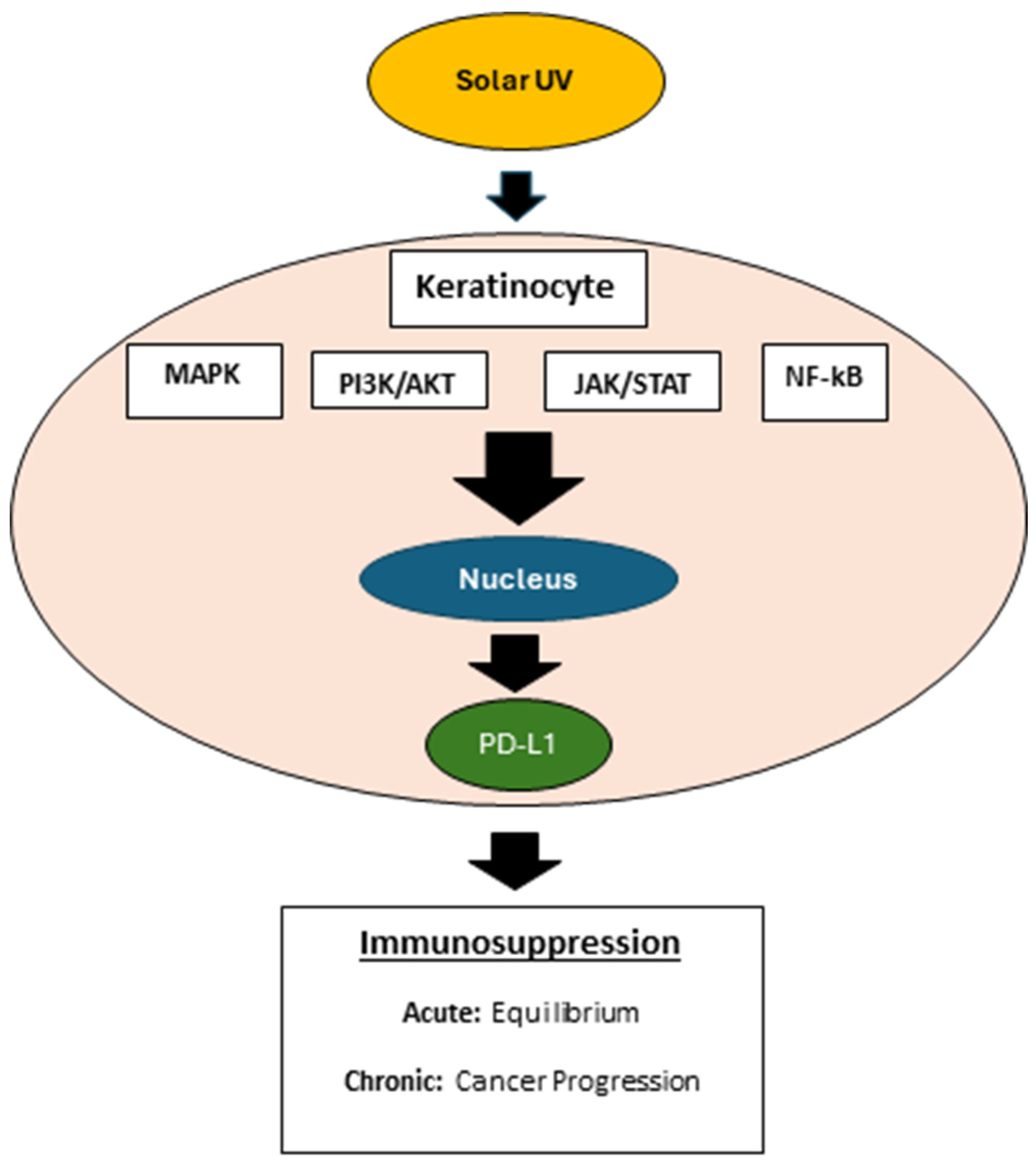 Preprints 118454 g002