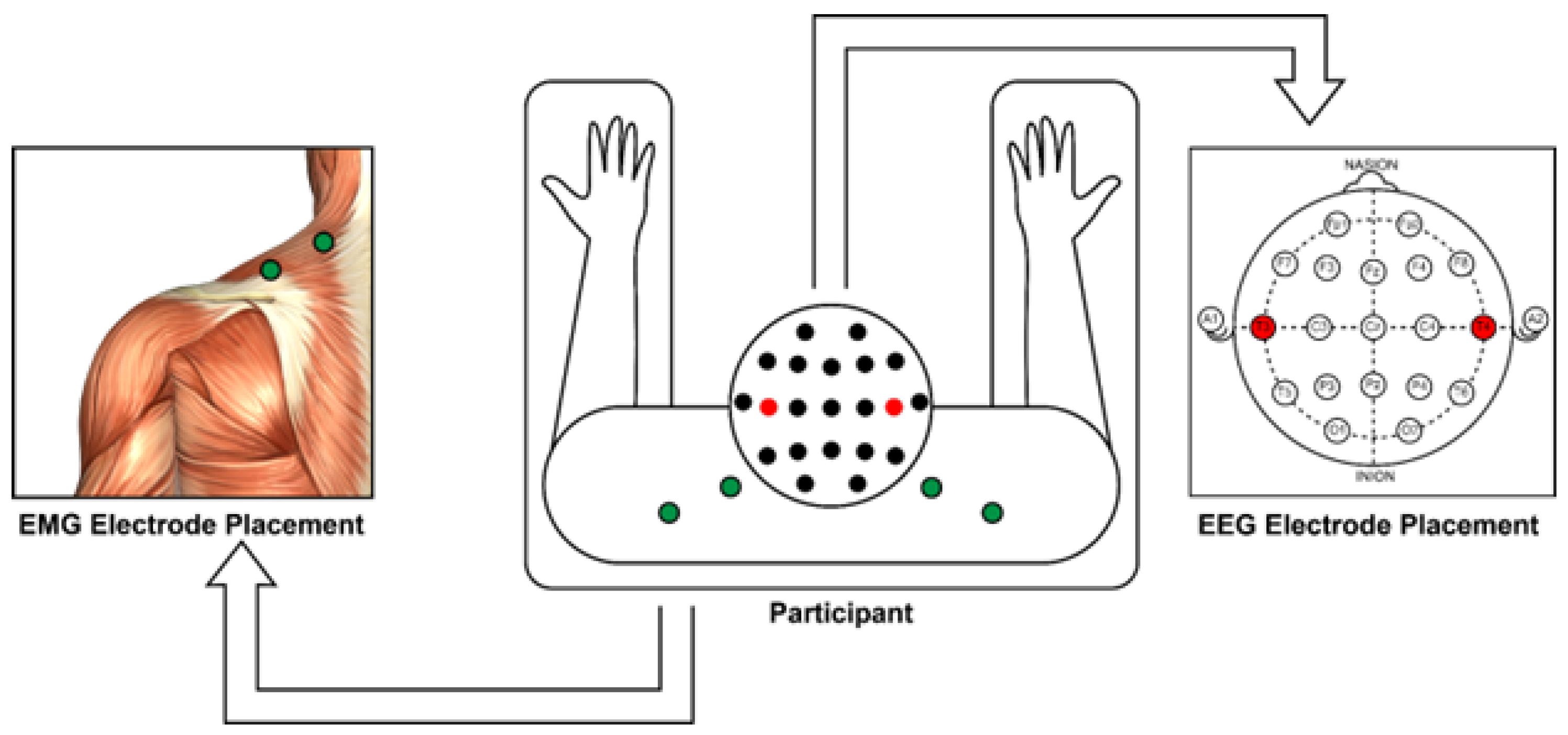 Preprints 100544 g002